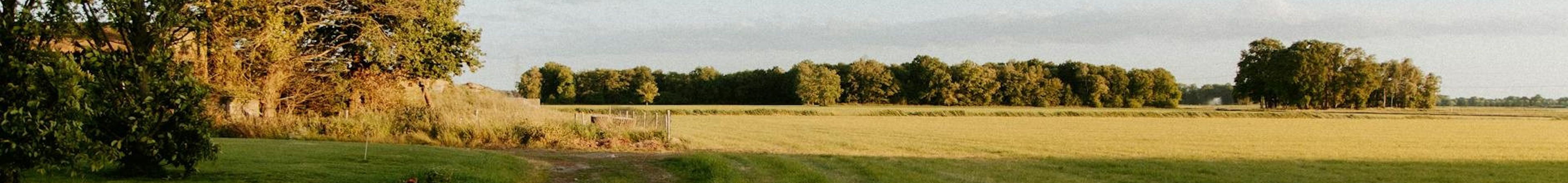 Netherlands