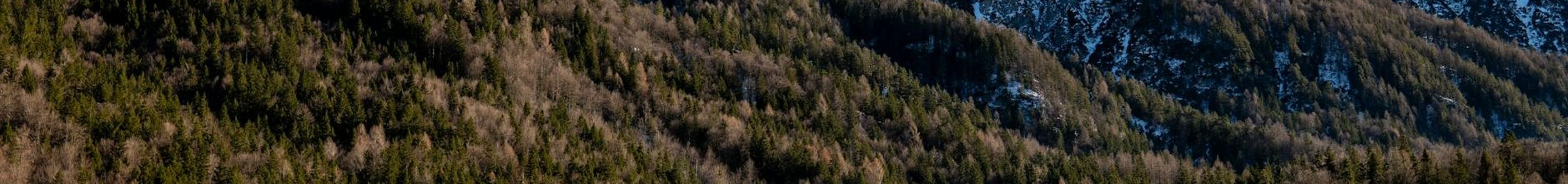 Slovenia