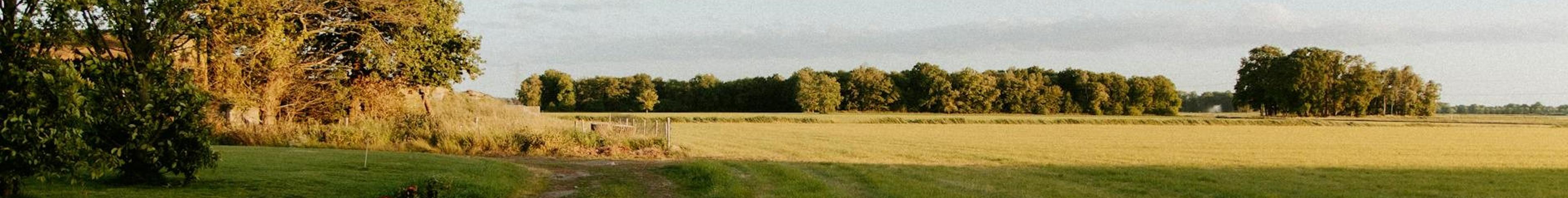 Netherlands – aperçu