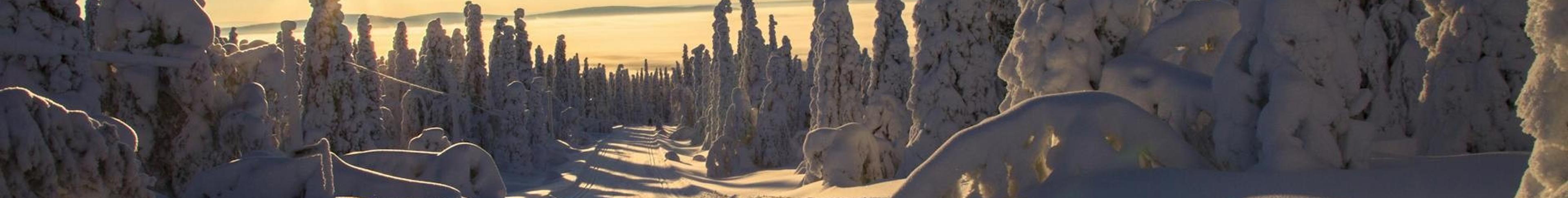 Finland – aperçu