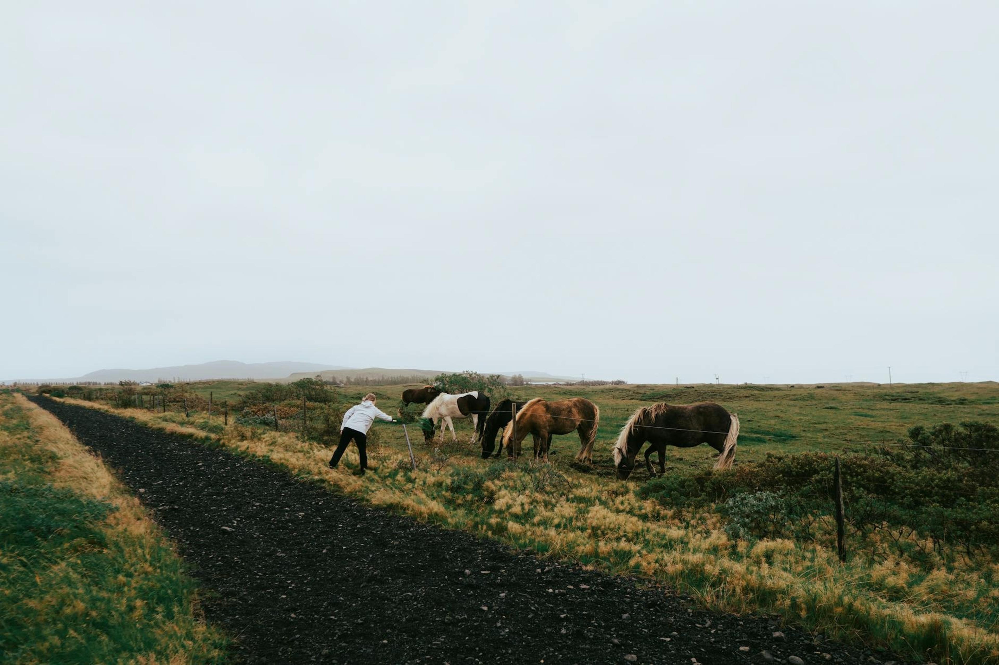 Iceland