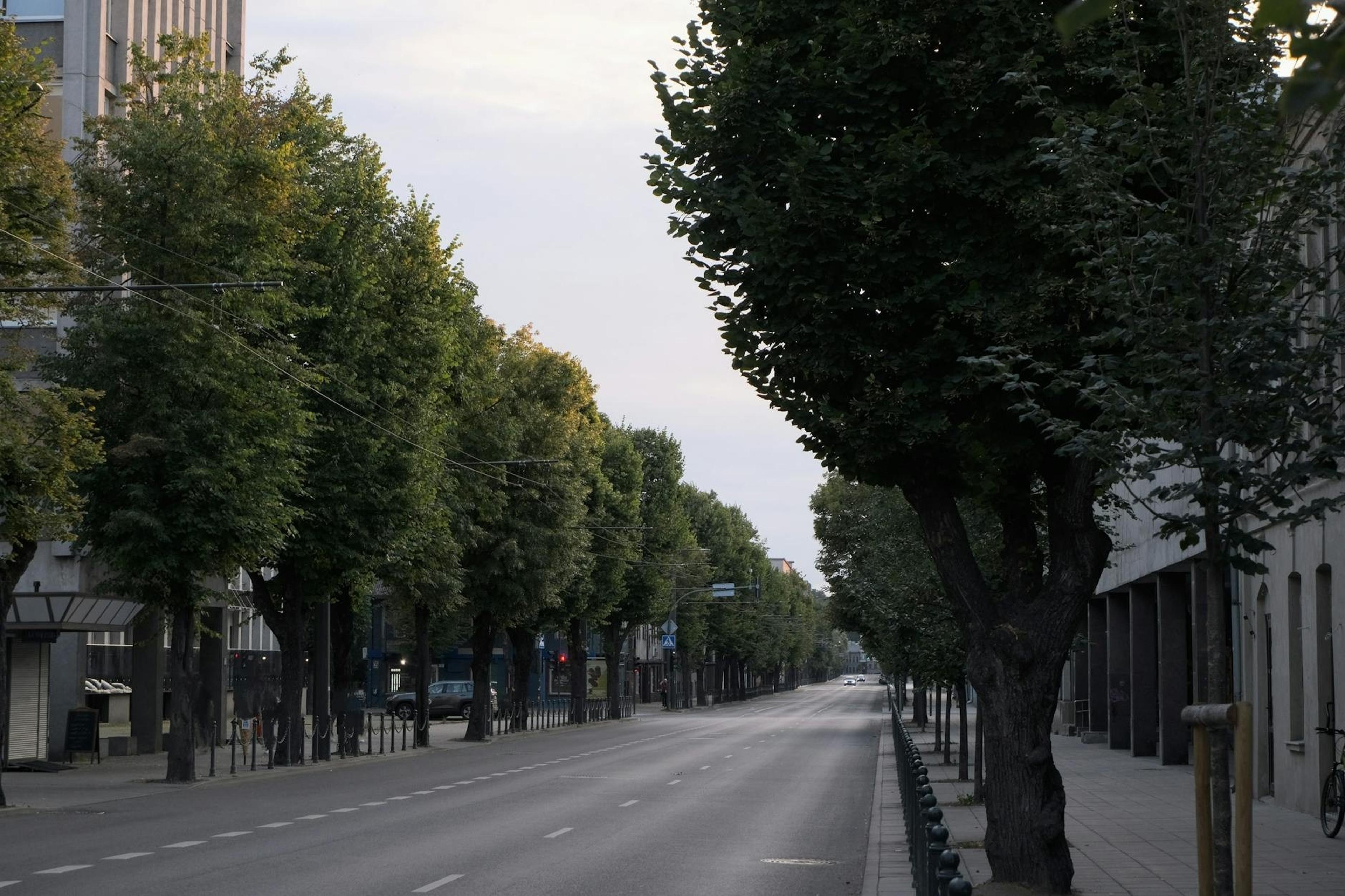 Kaunas
