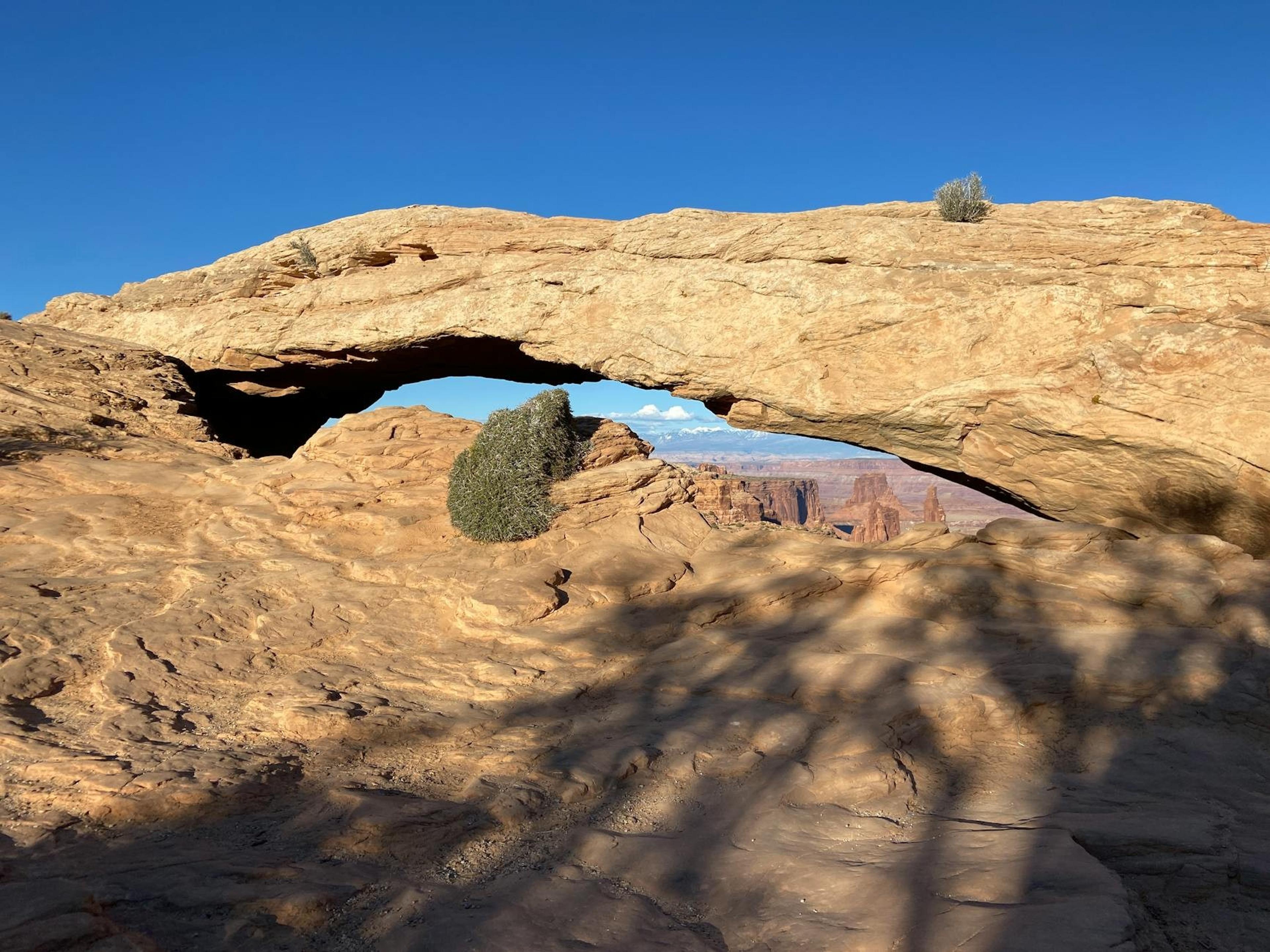 Mesa