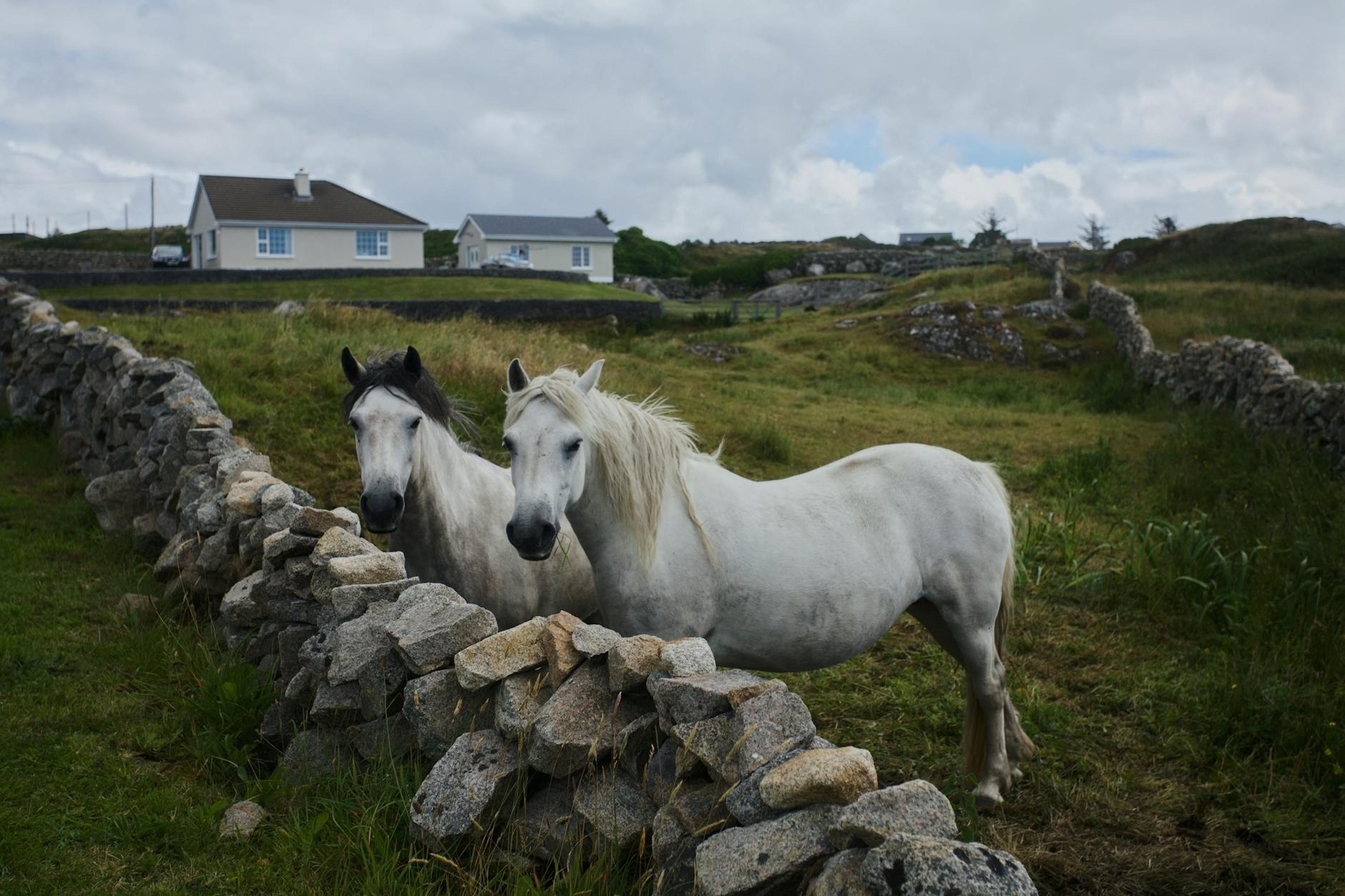 Ireland