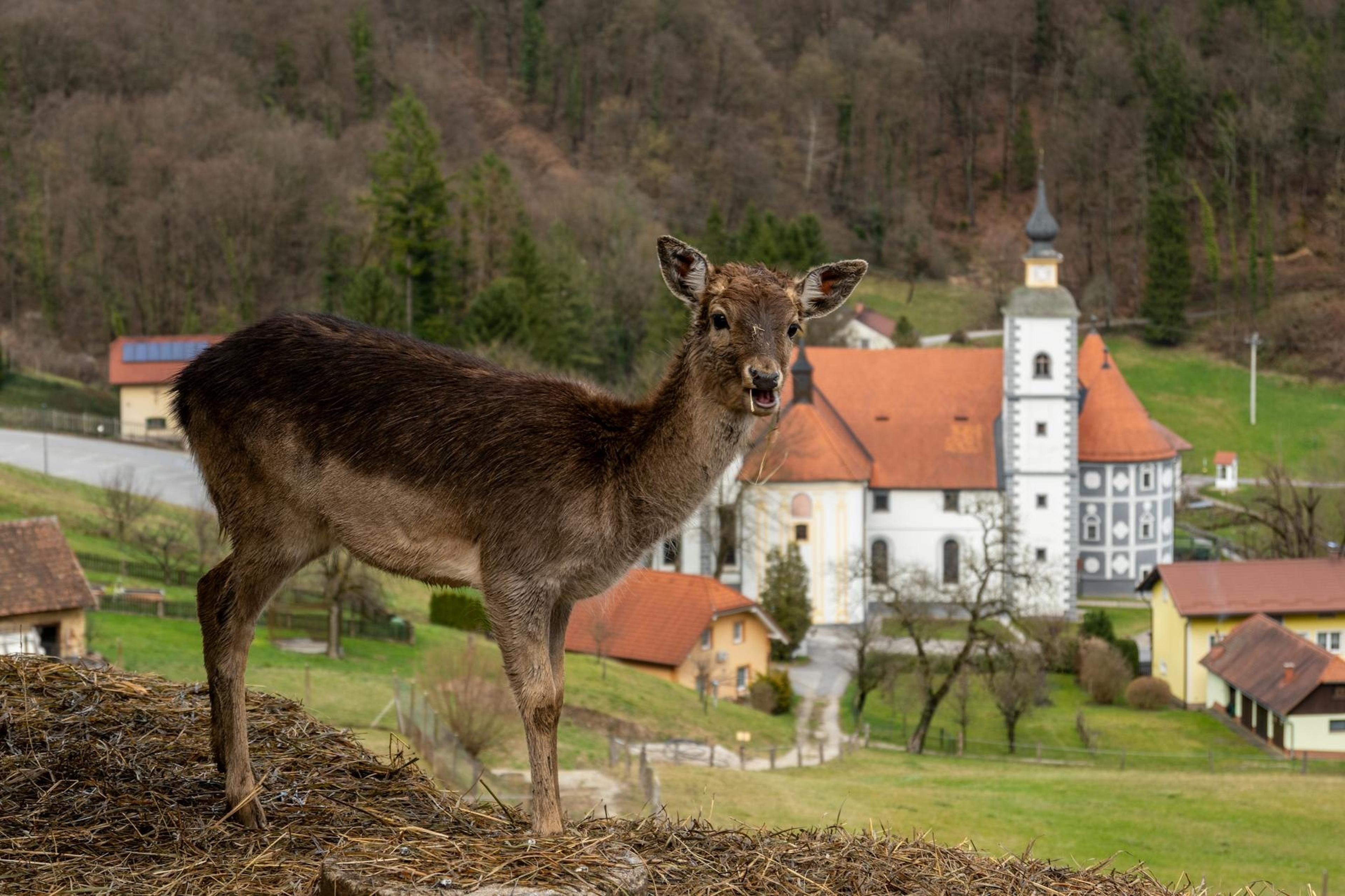 Slovenia