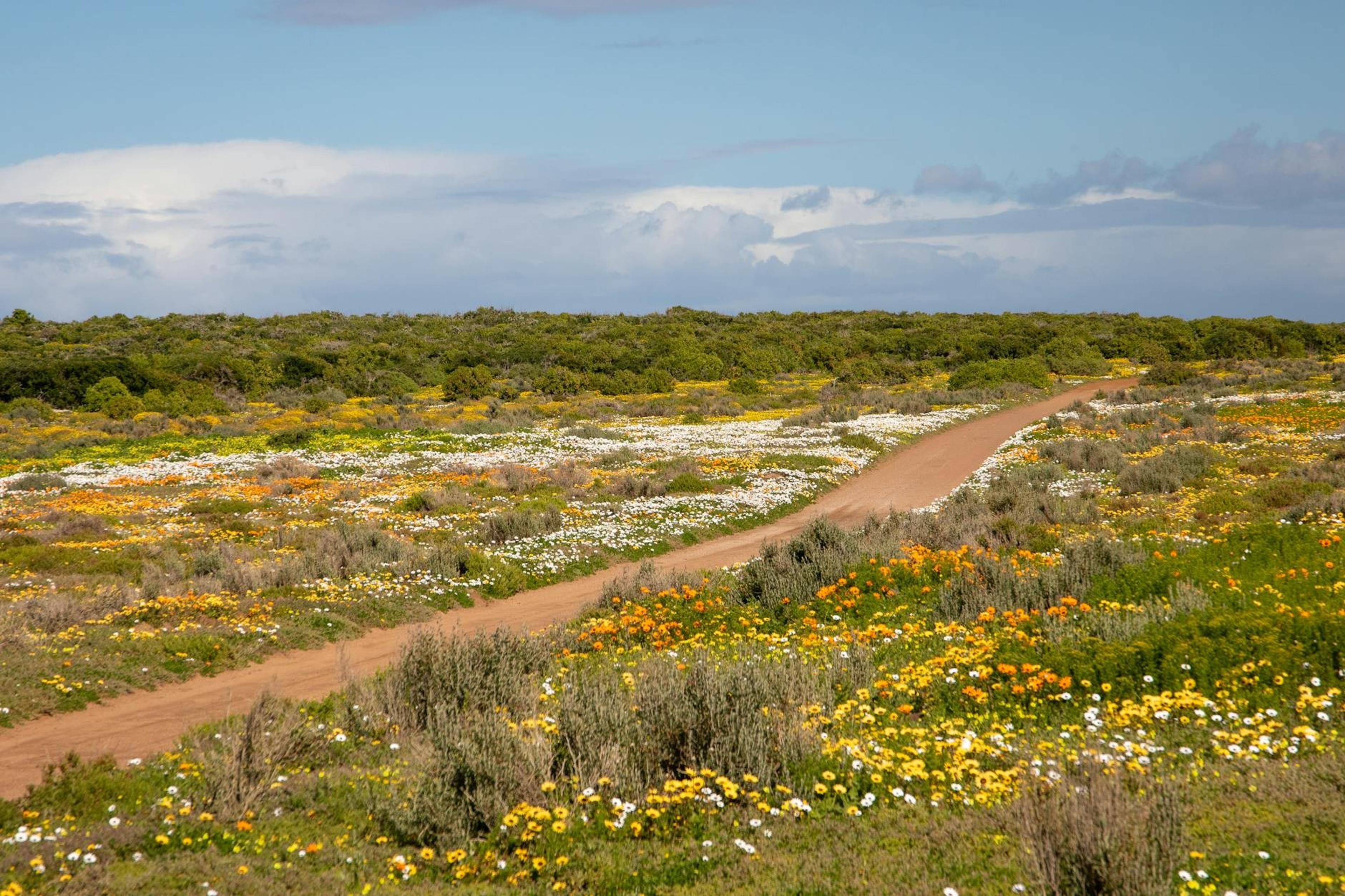 South Africa