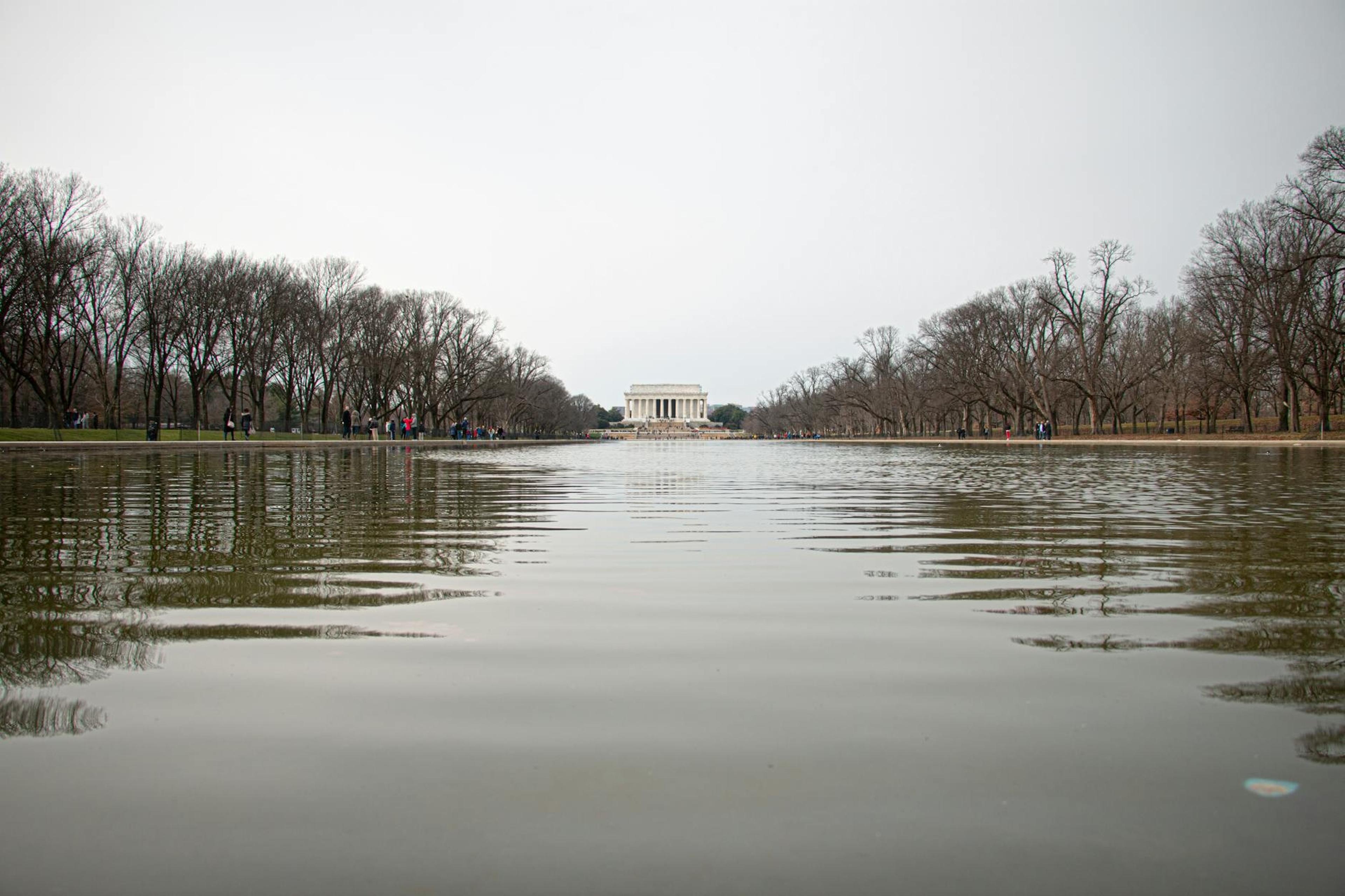 Washington D.C.