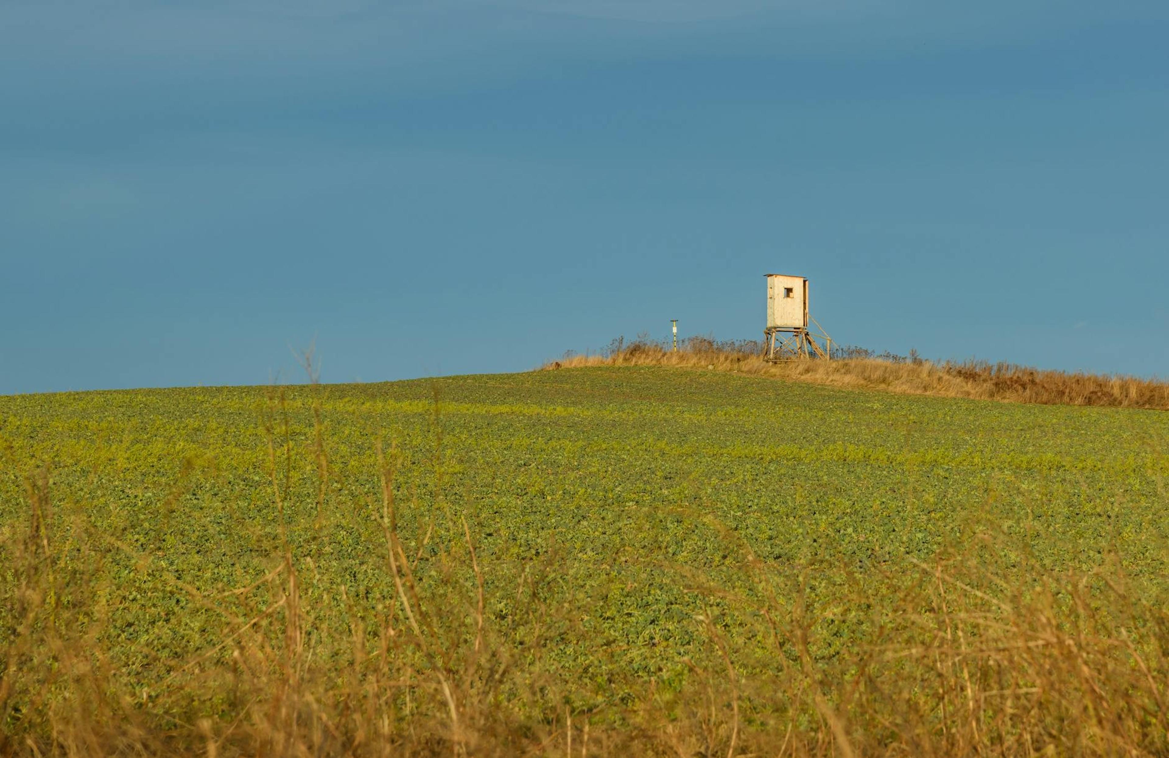 Czech Republic