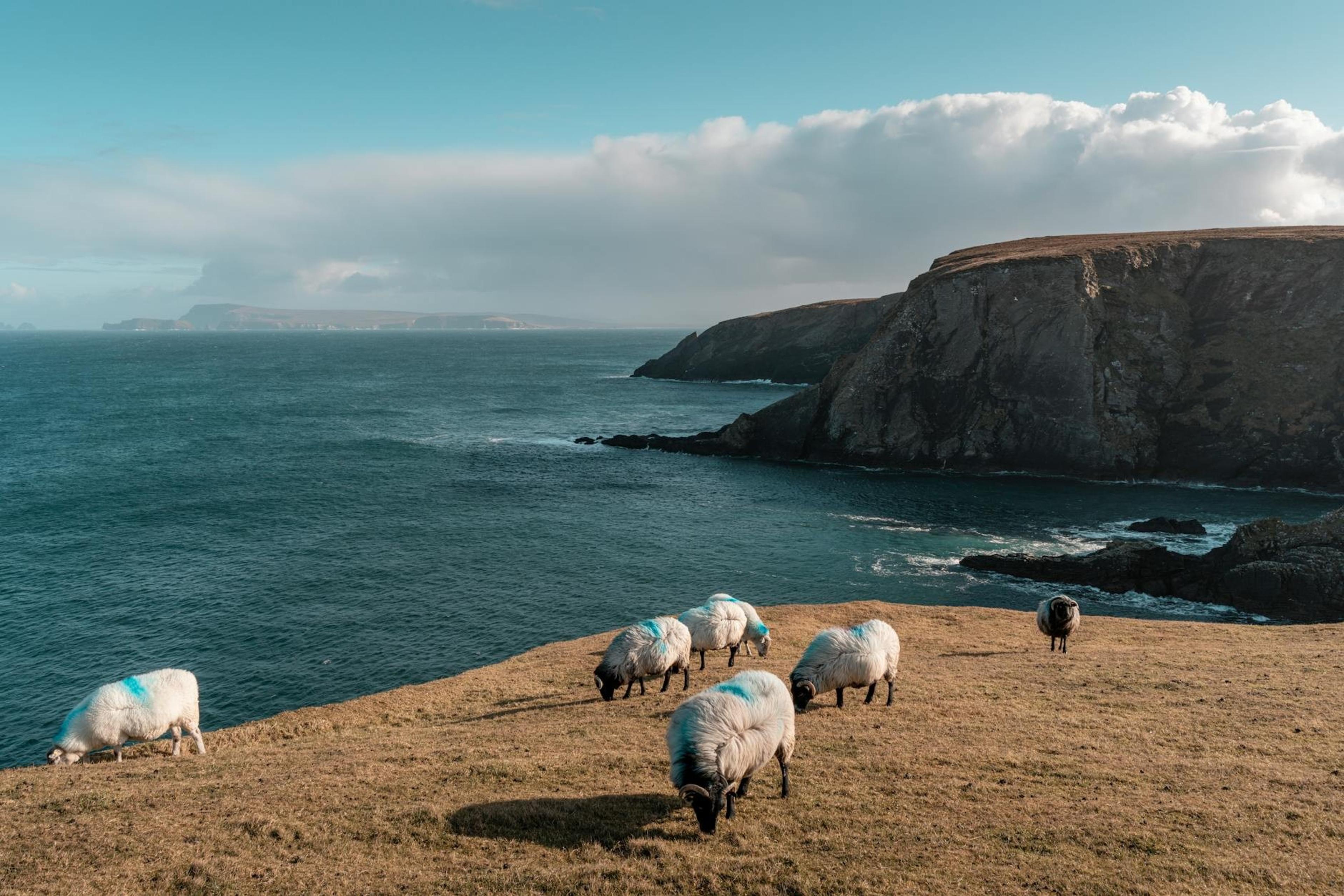 Ireland