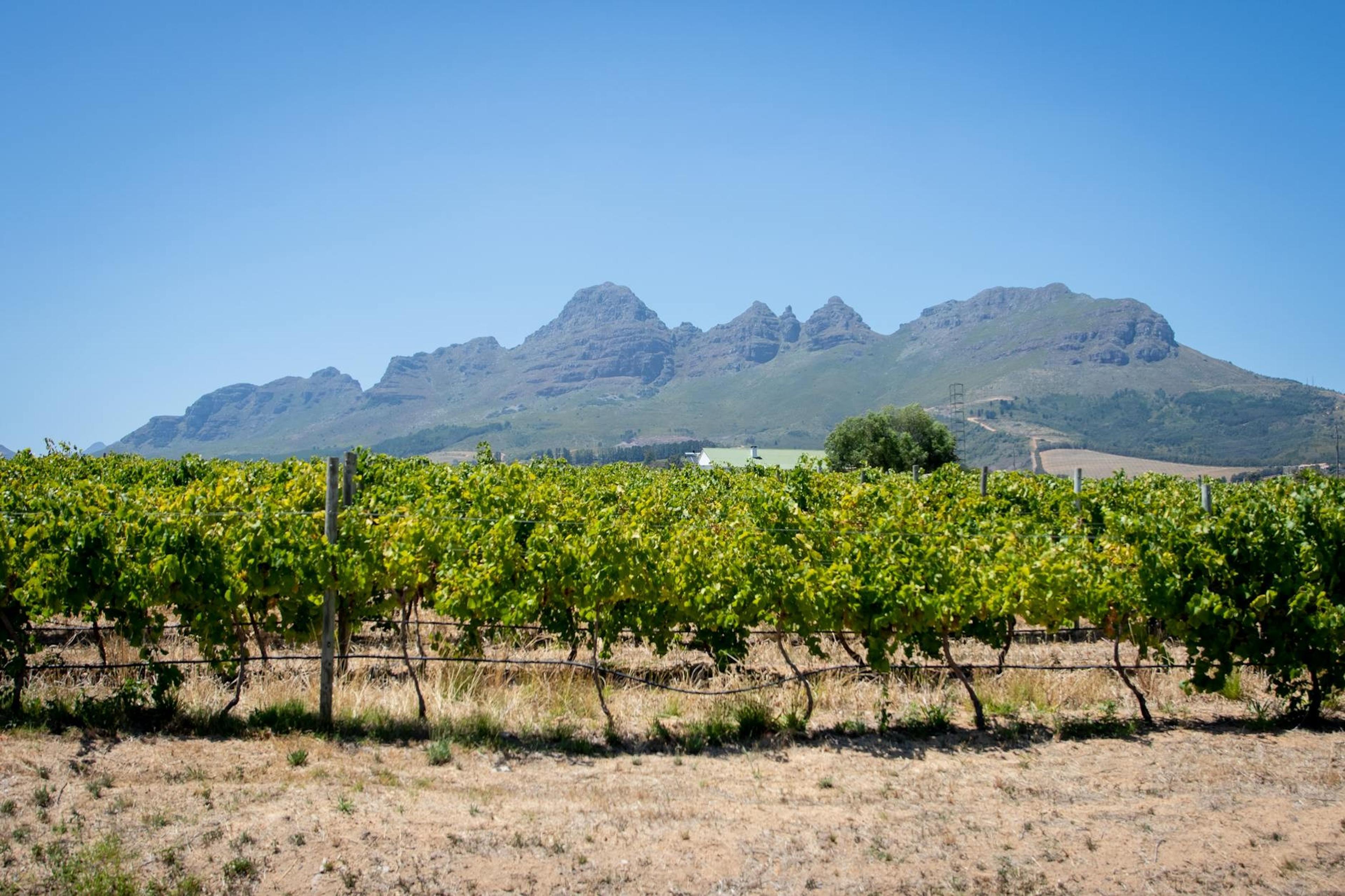 South Africa