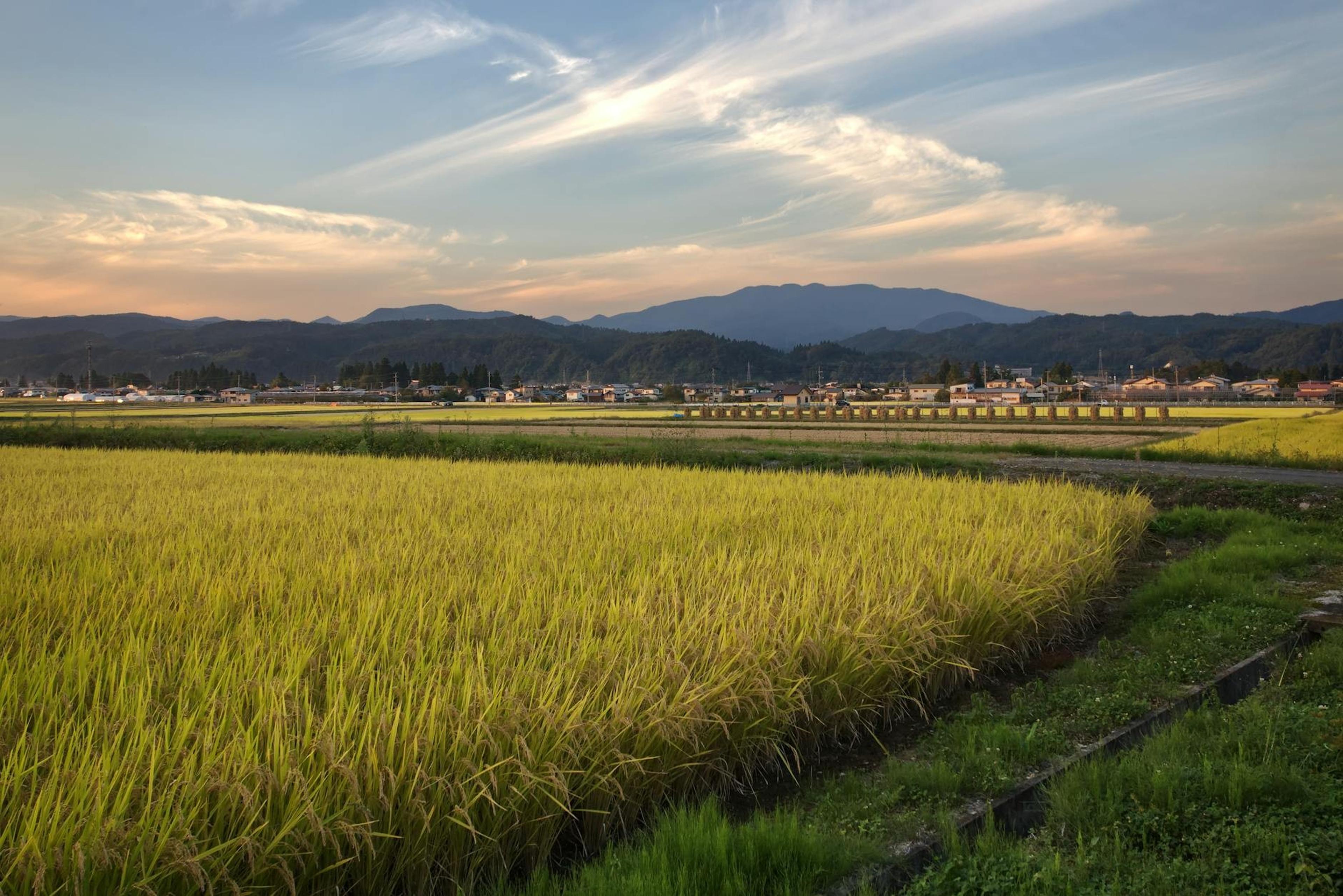 Yamagata