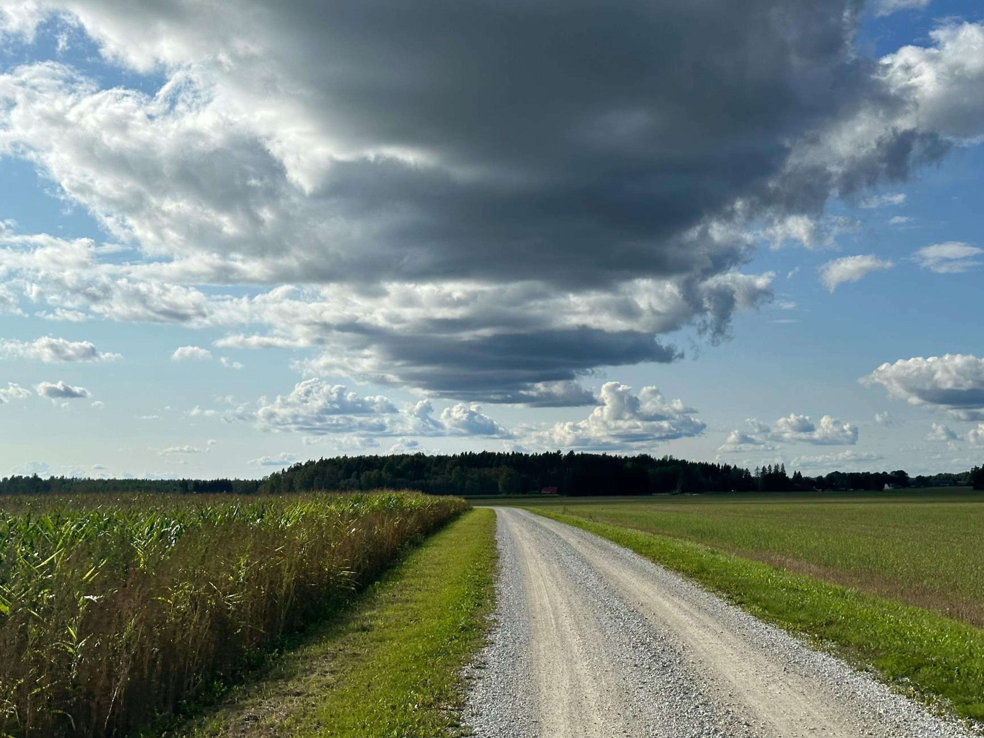 Estonia