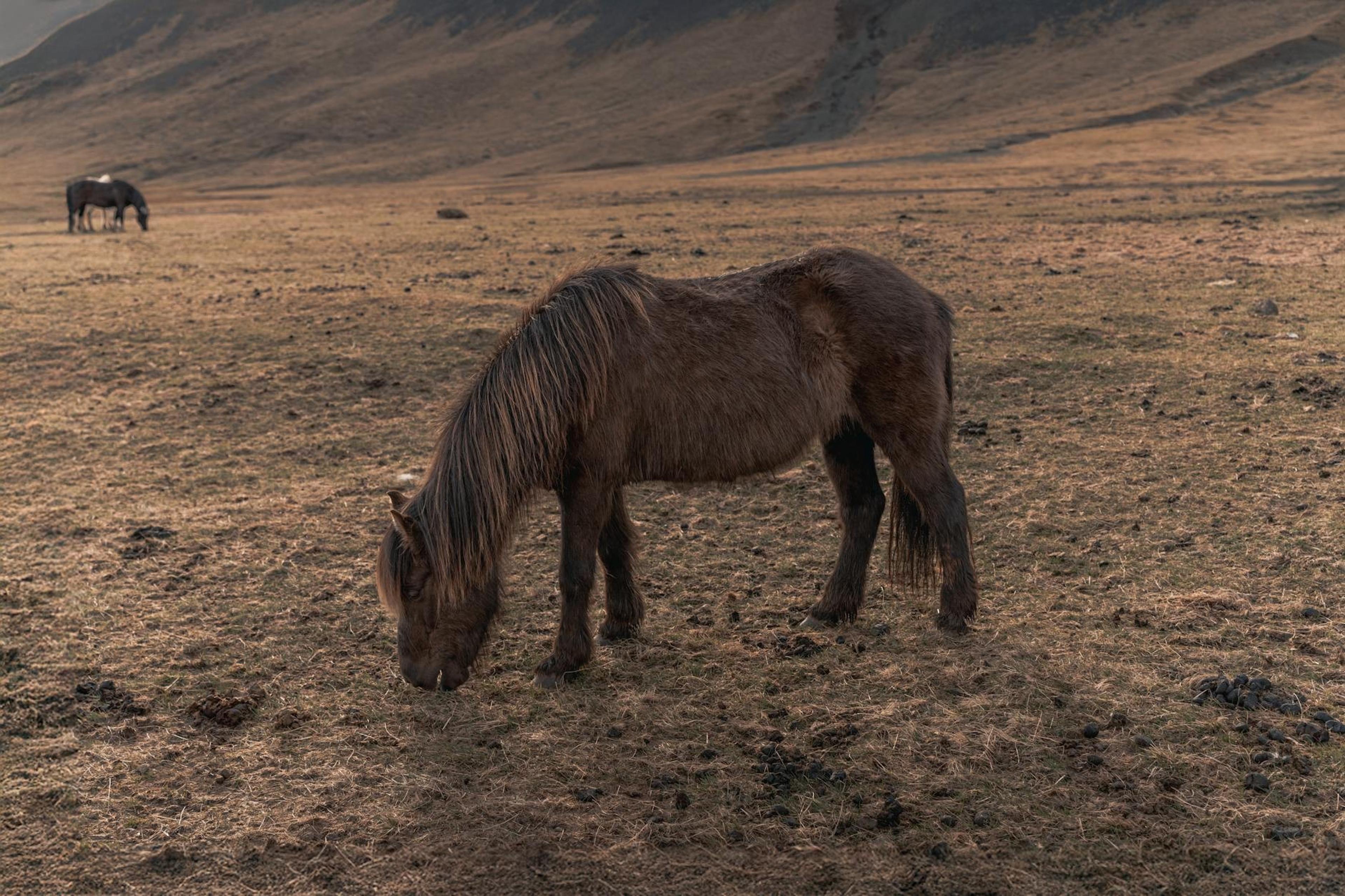 Iceland