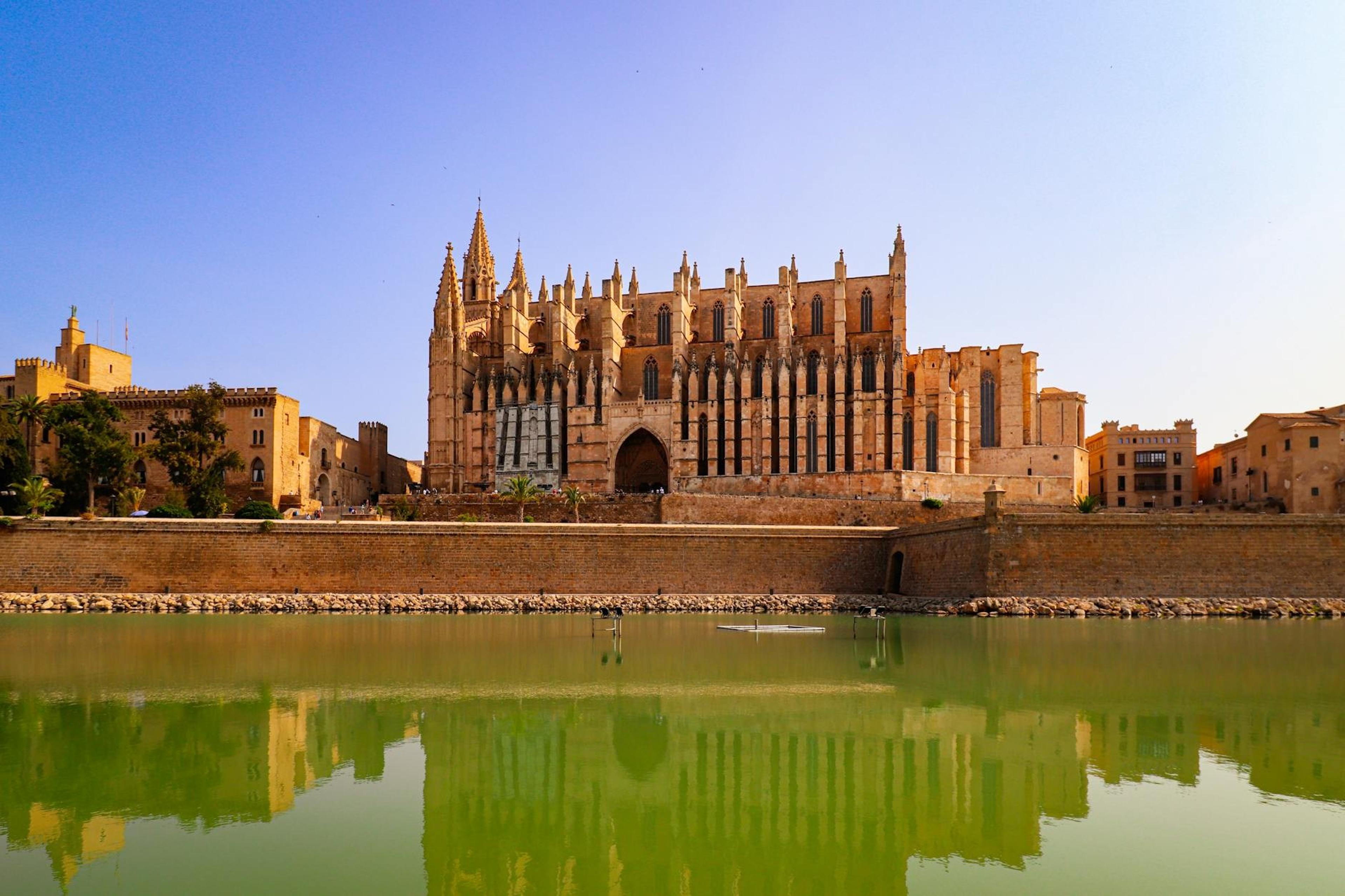 Palma