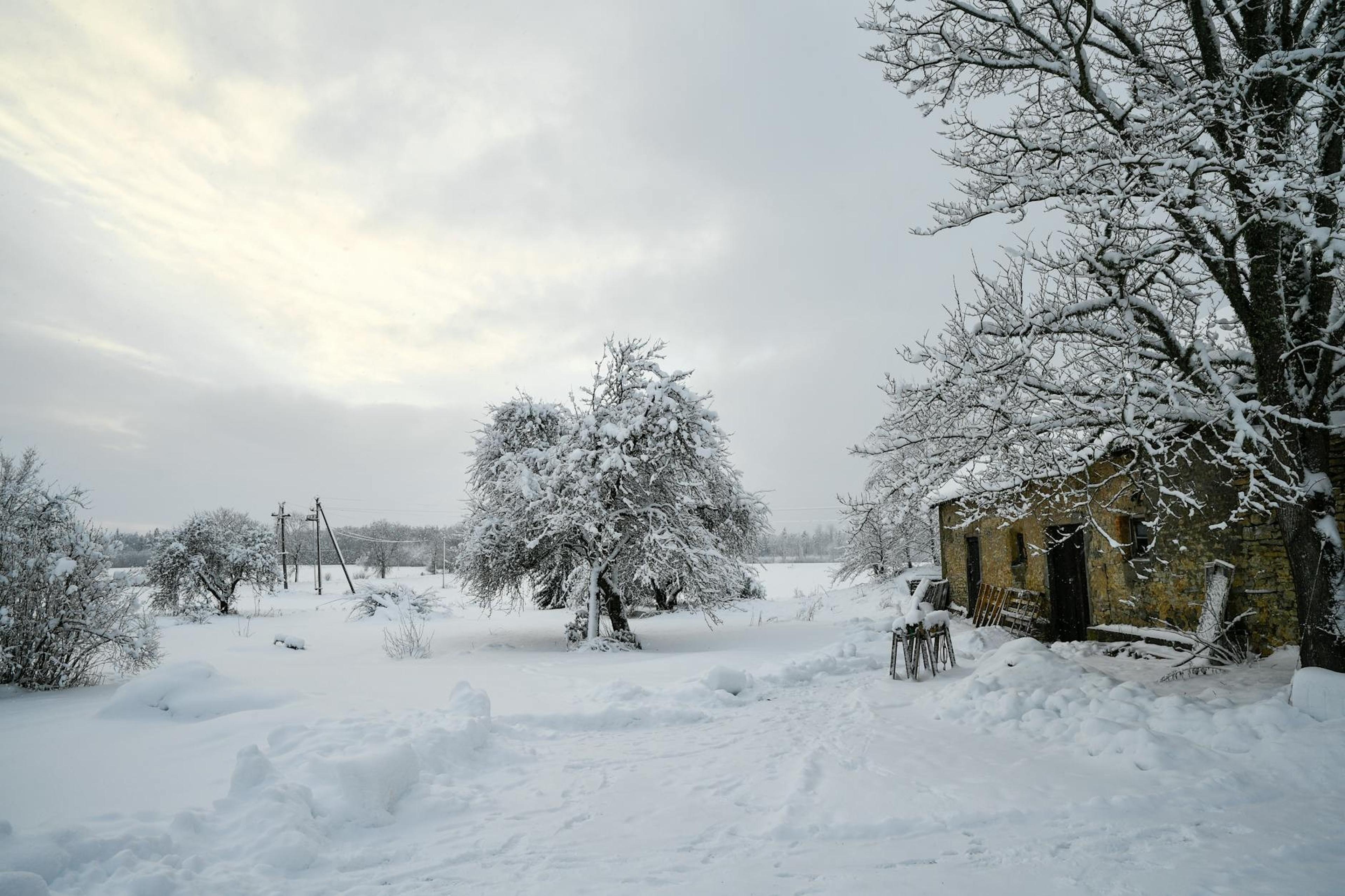 Estonia