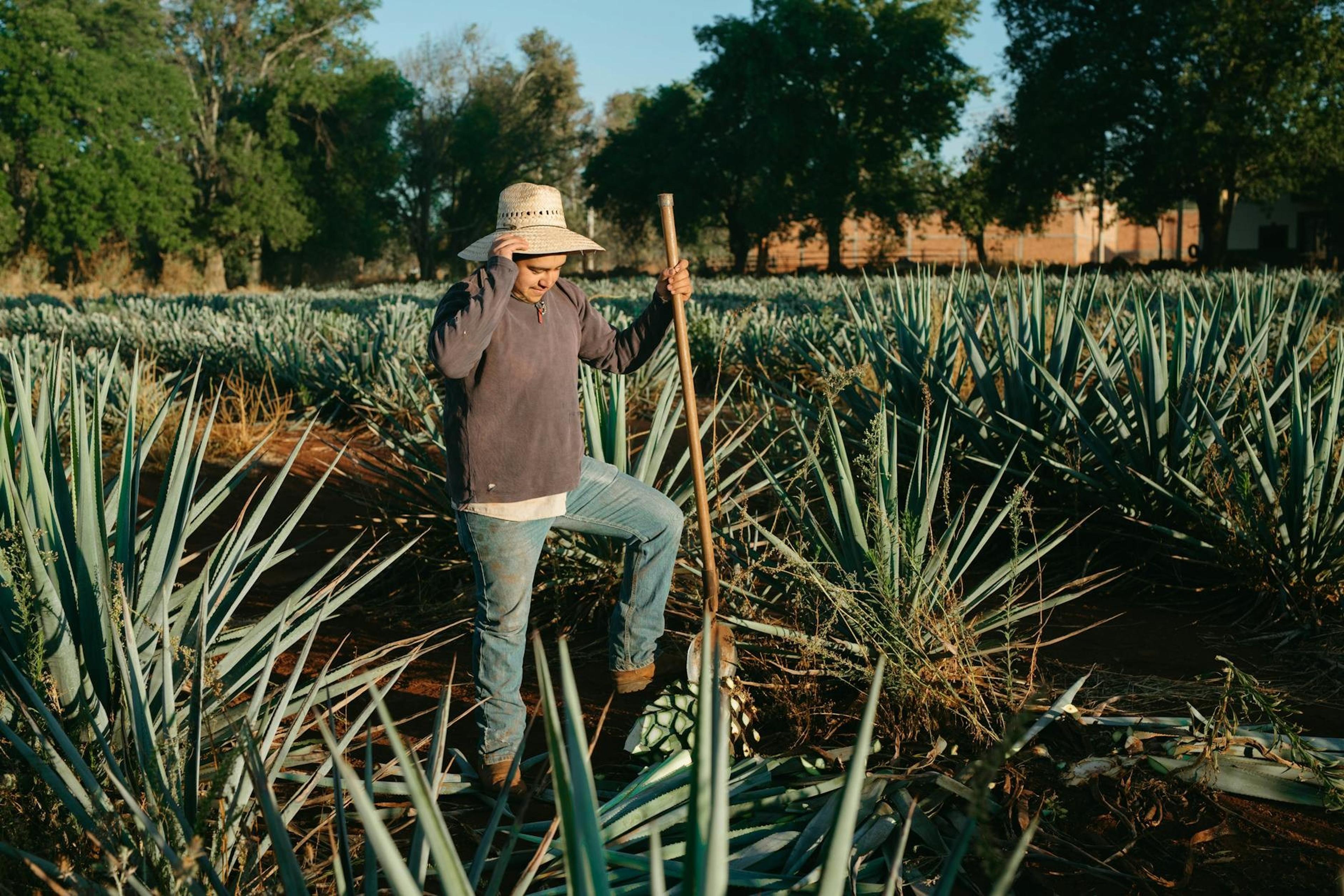Mexico