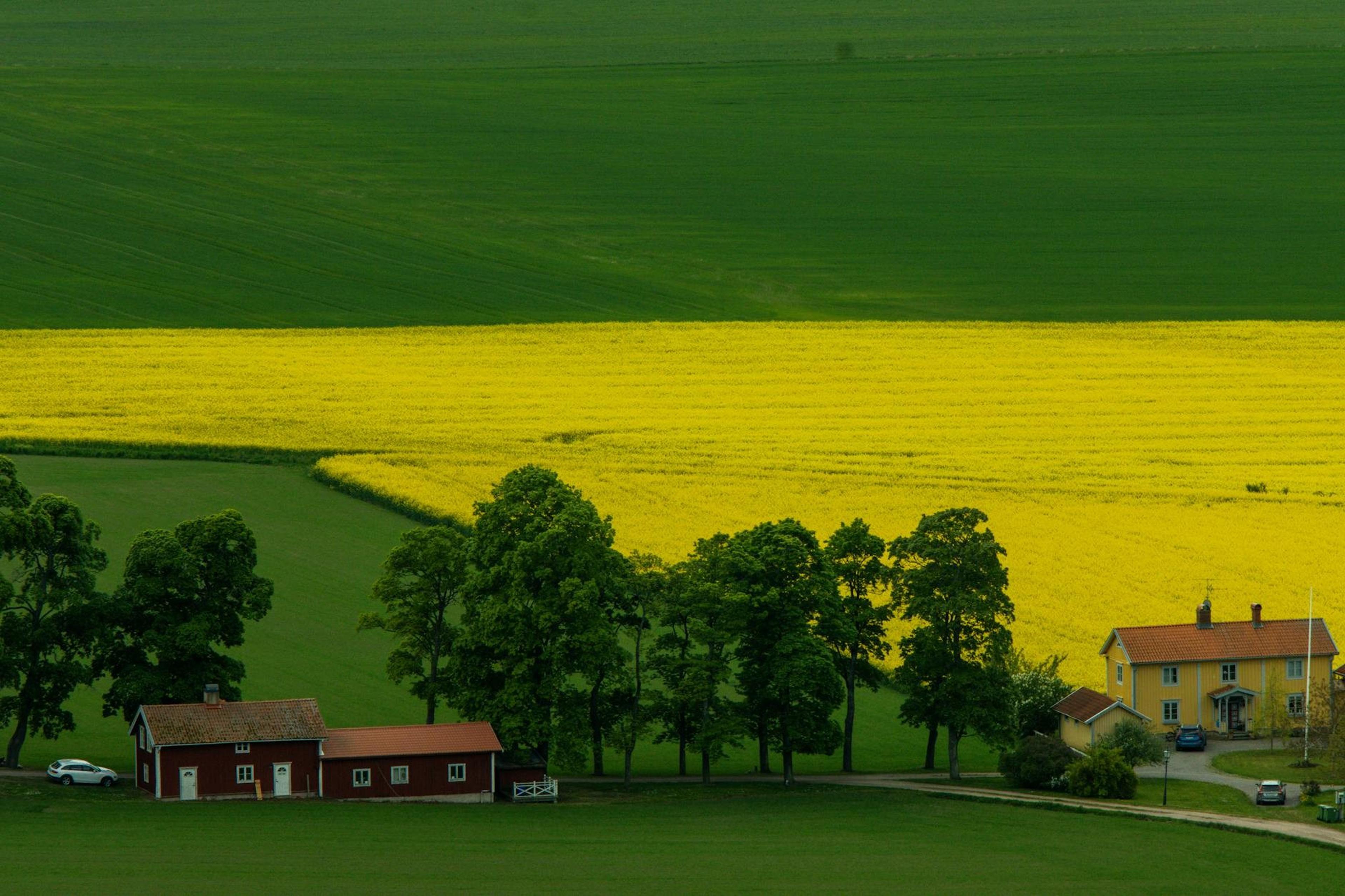 Sweden