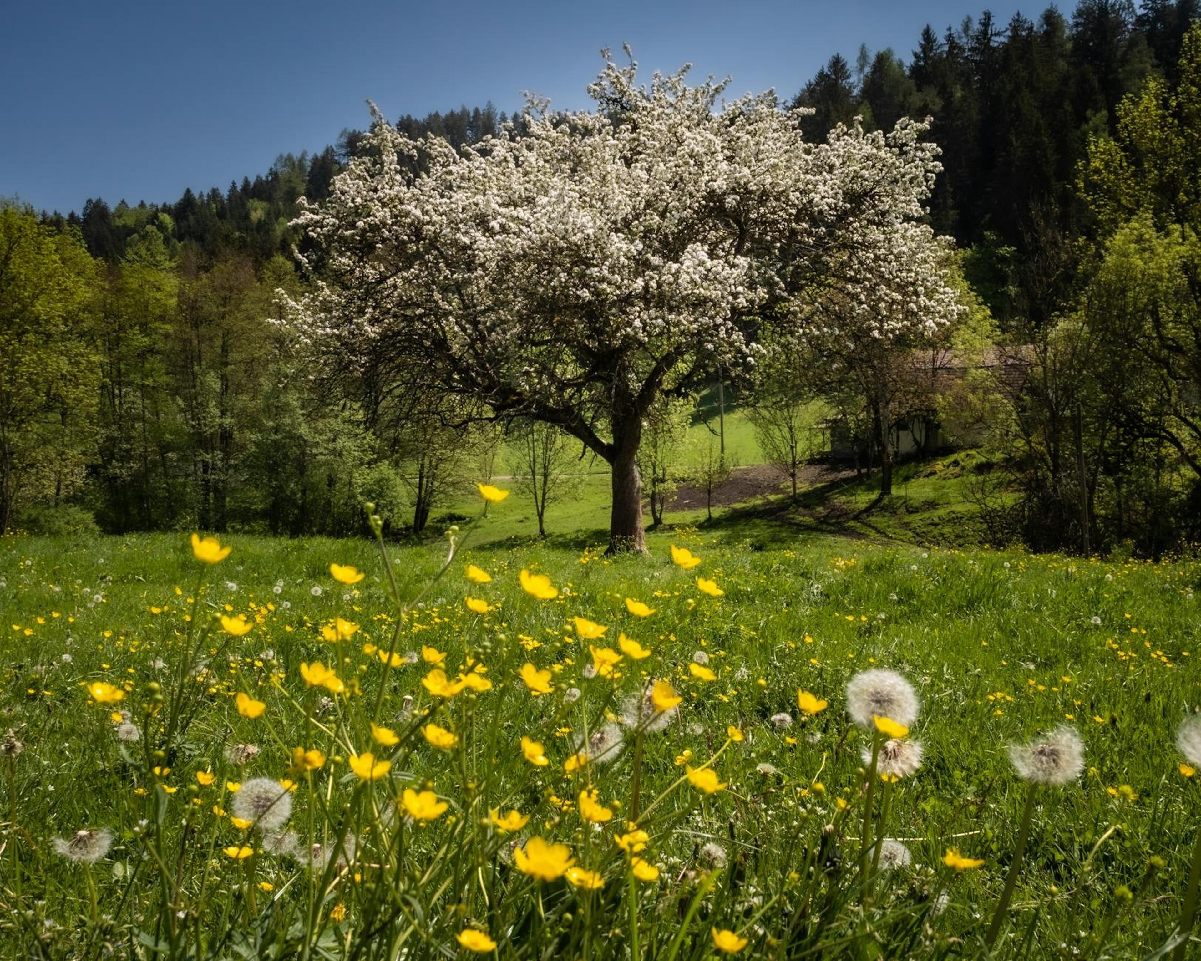 Klagenfurt