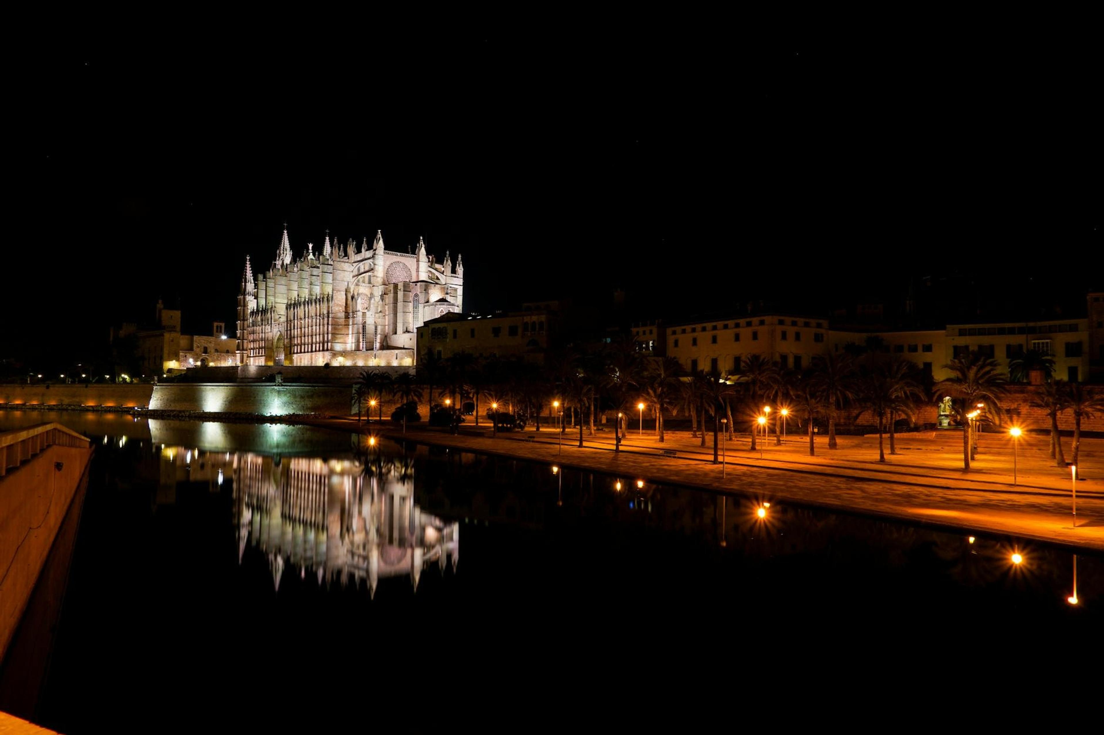Palma – aperçu