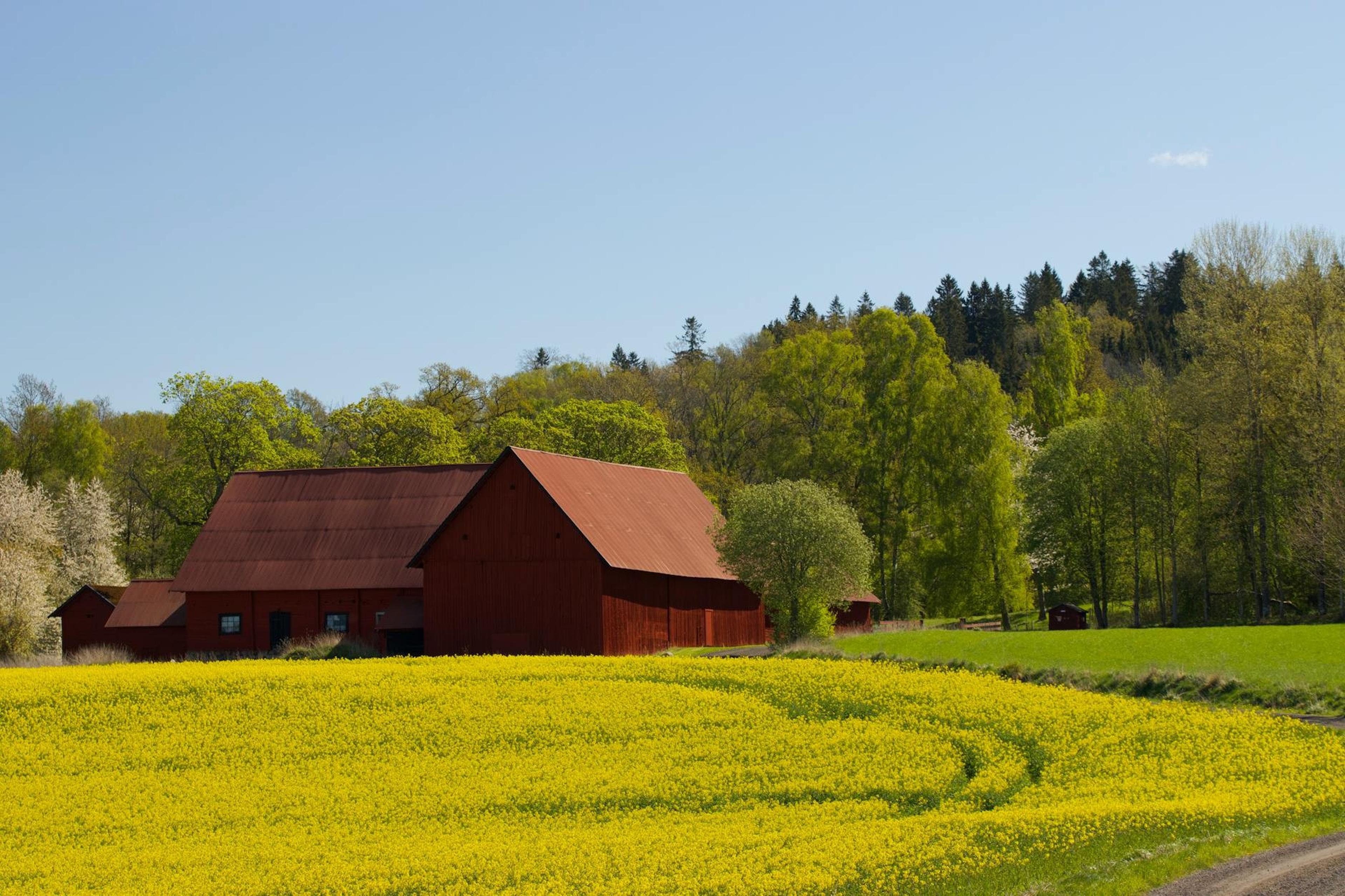 Sweden