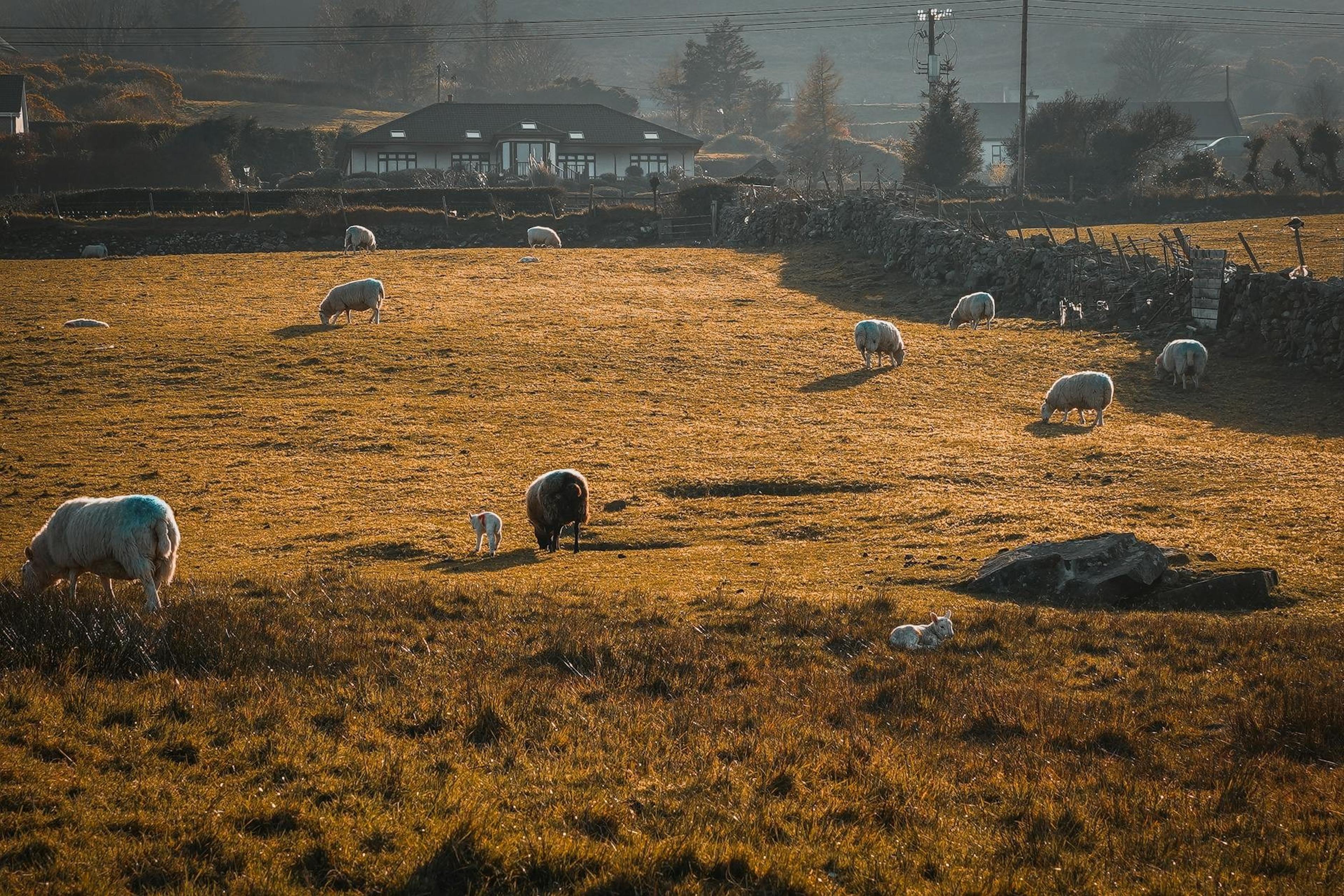 Ireland