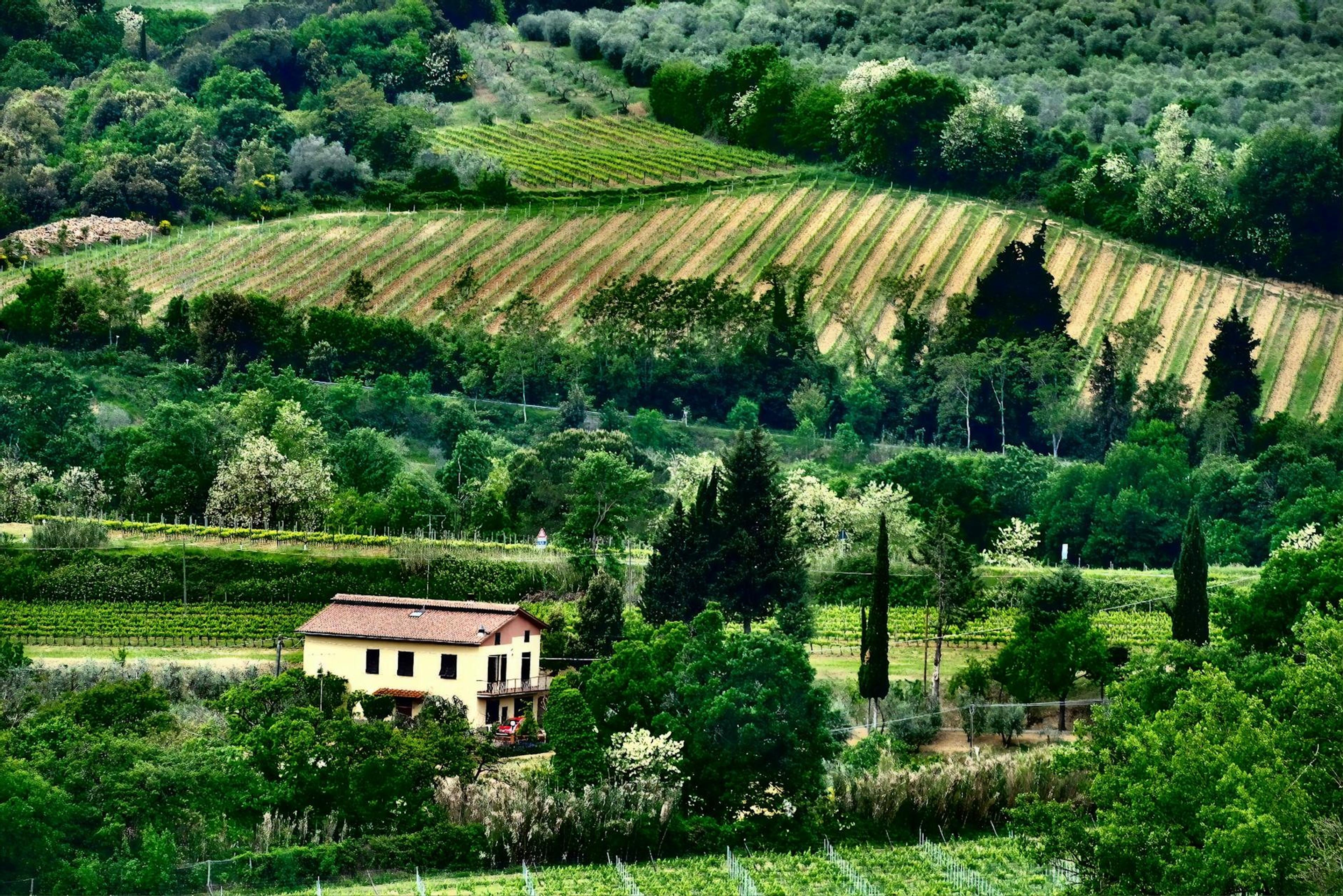 Italy