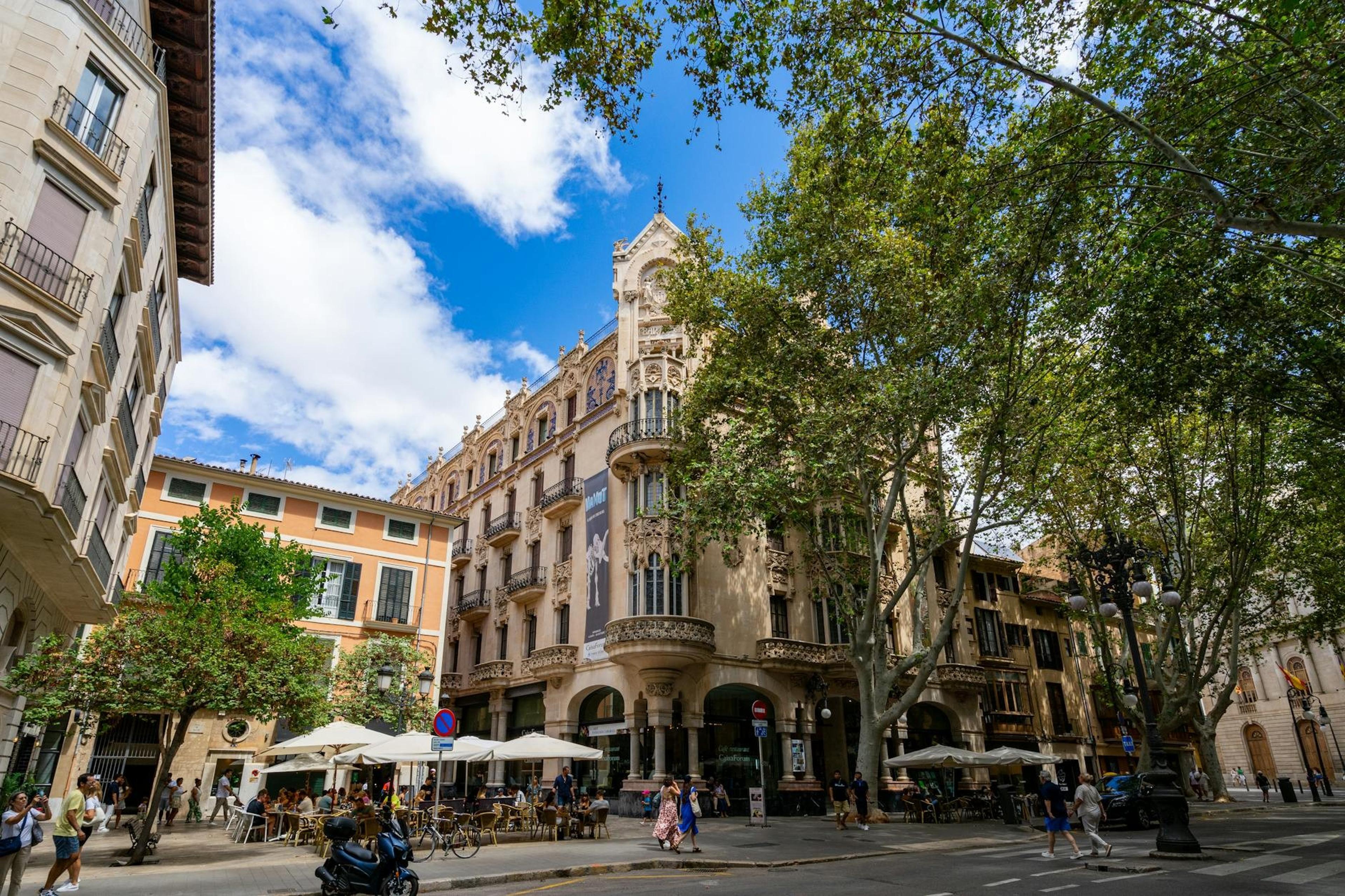 Palma