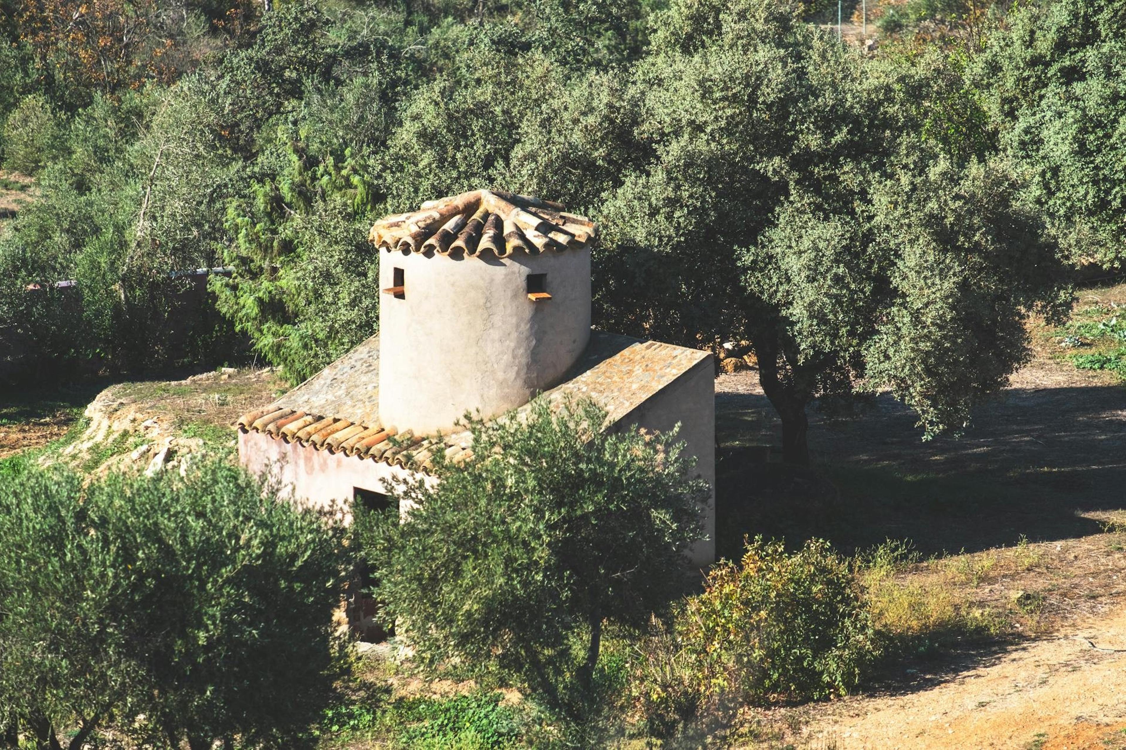 Spain