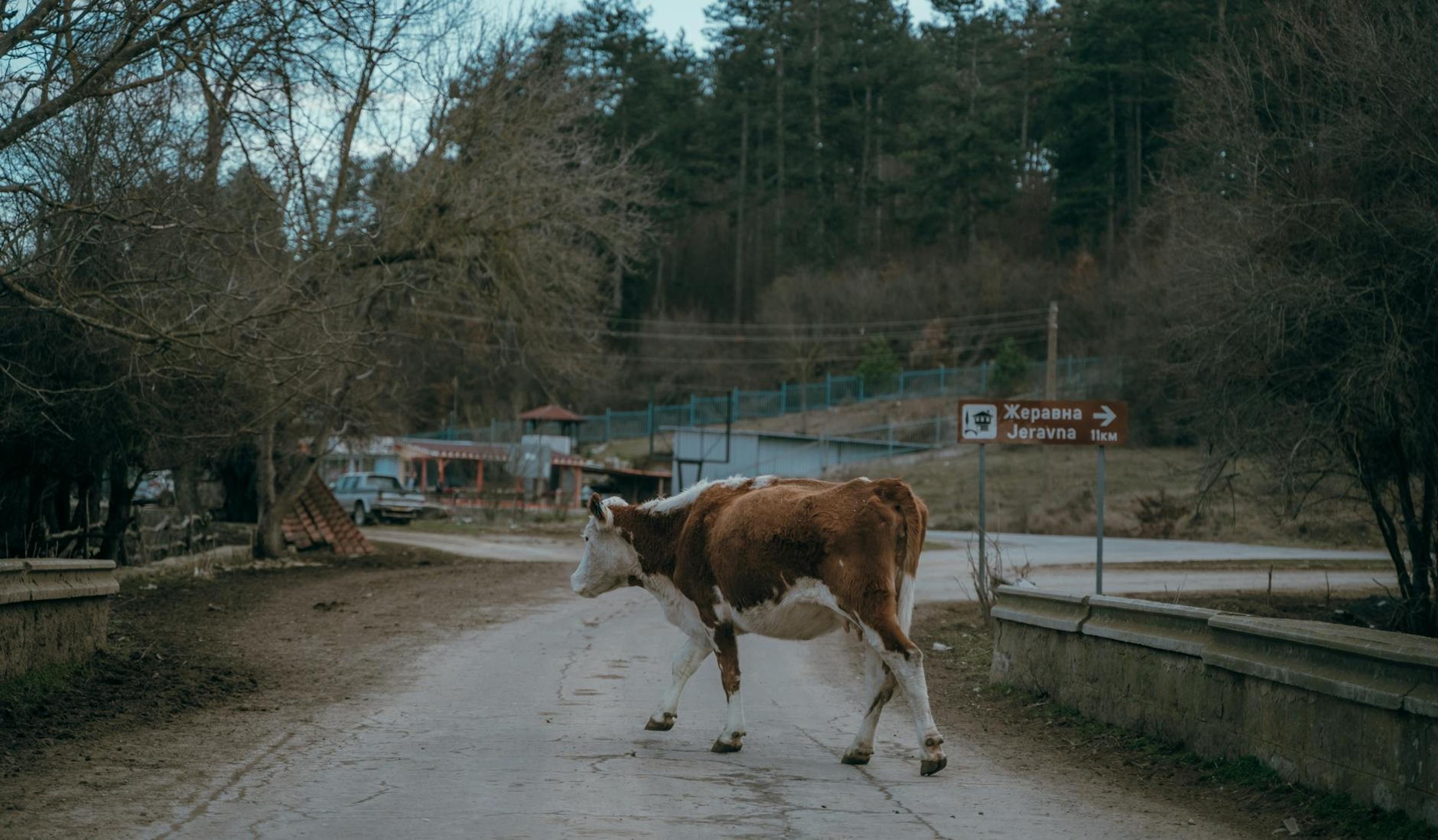Bulgaria