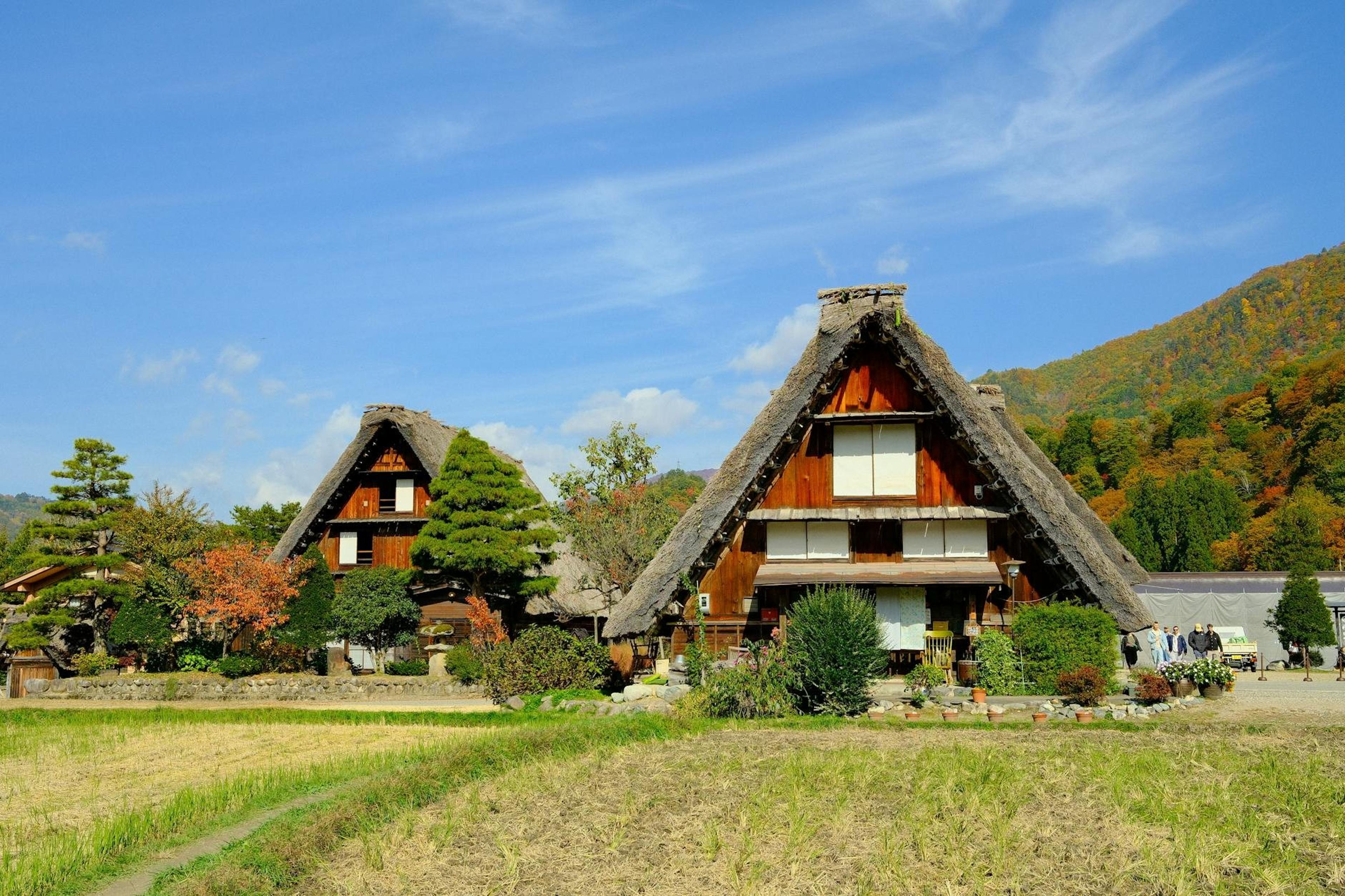 Japan