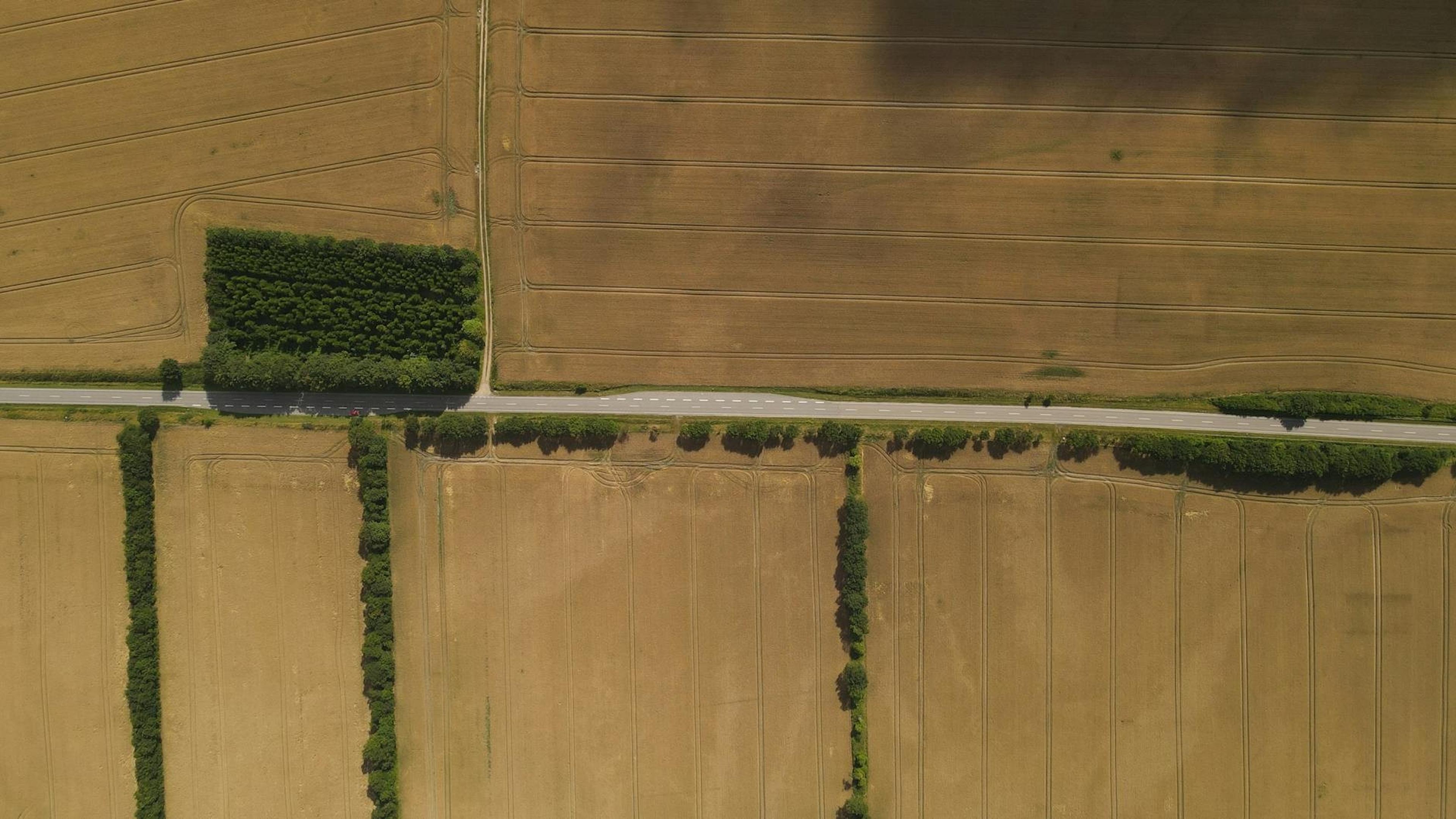 Denmark