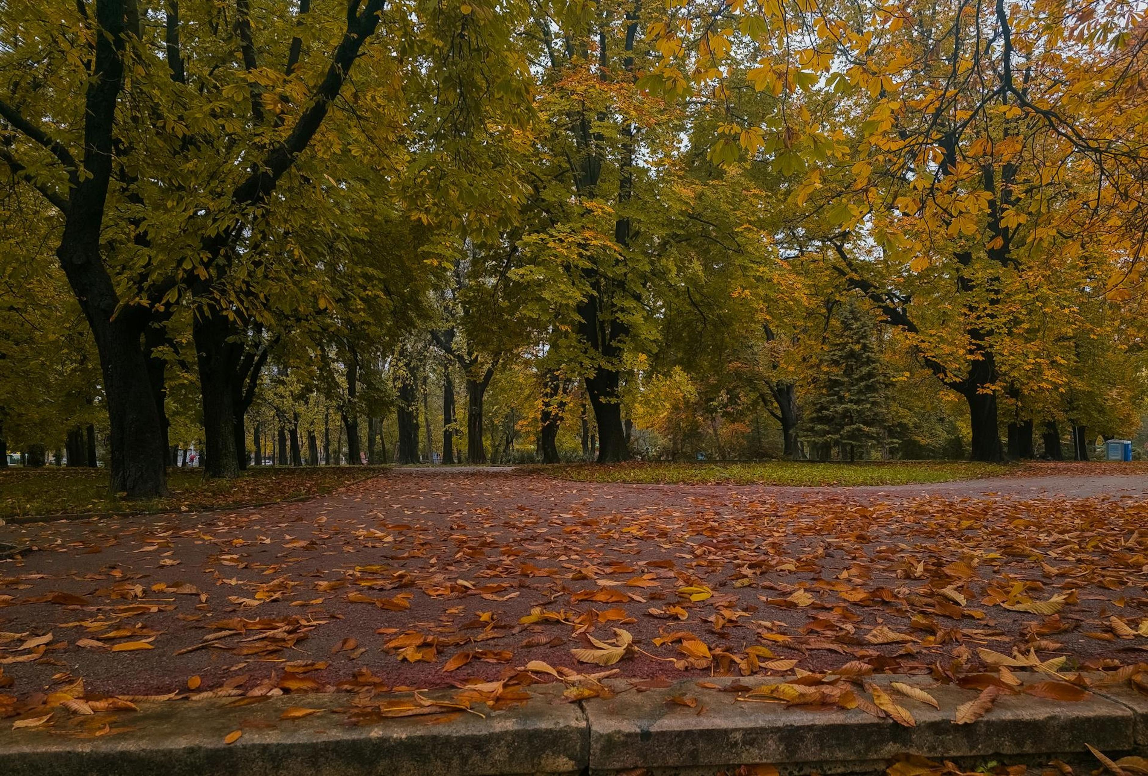 Bulgaria