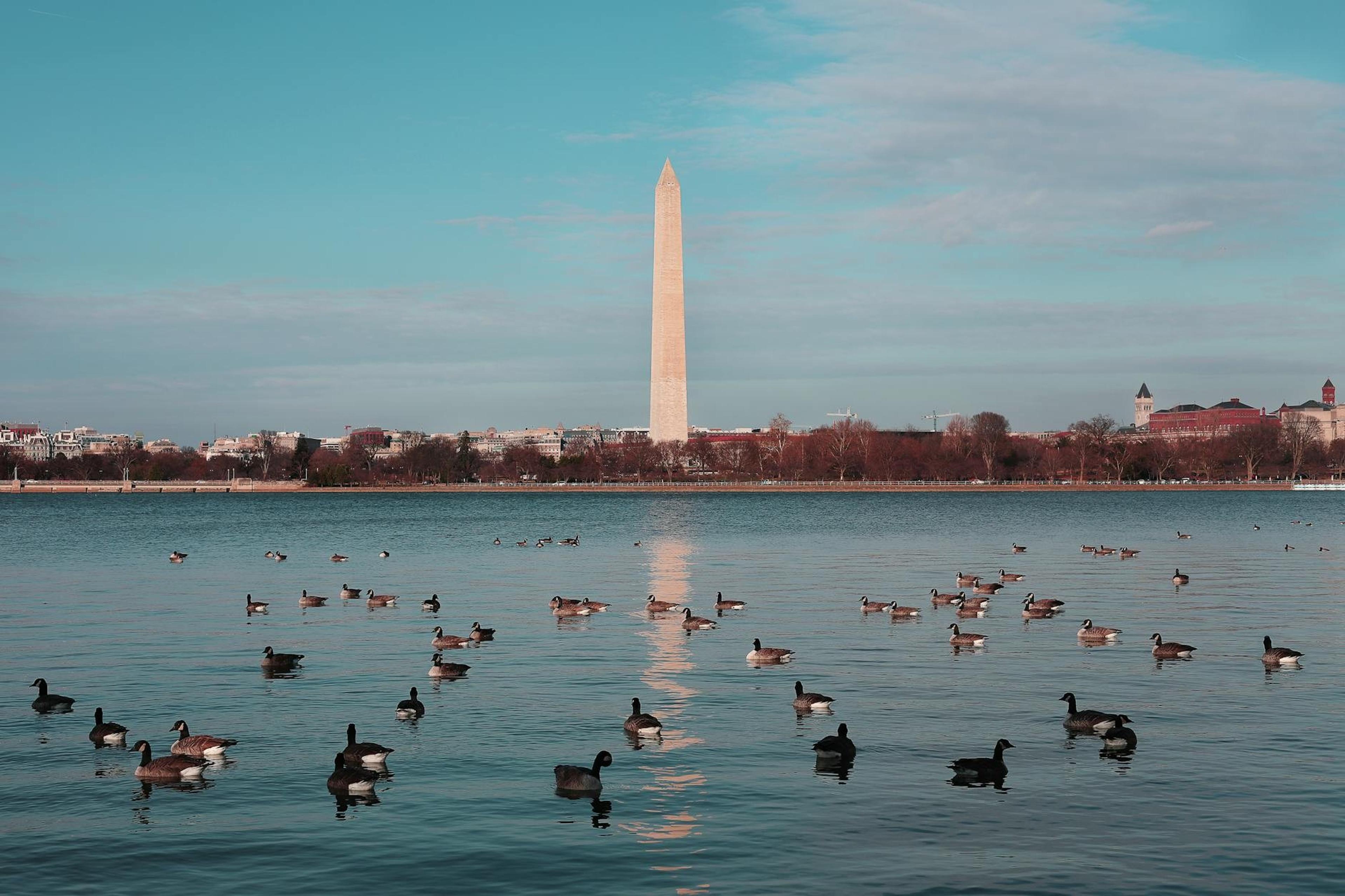 Washington D.C.