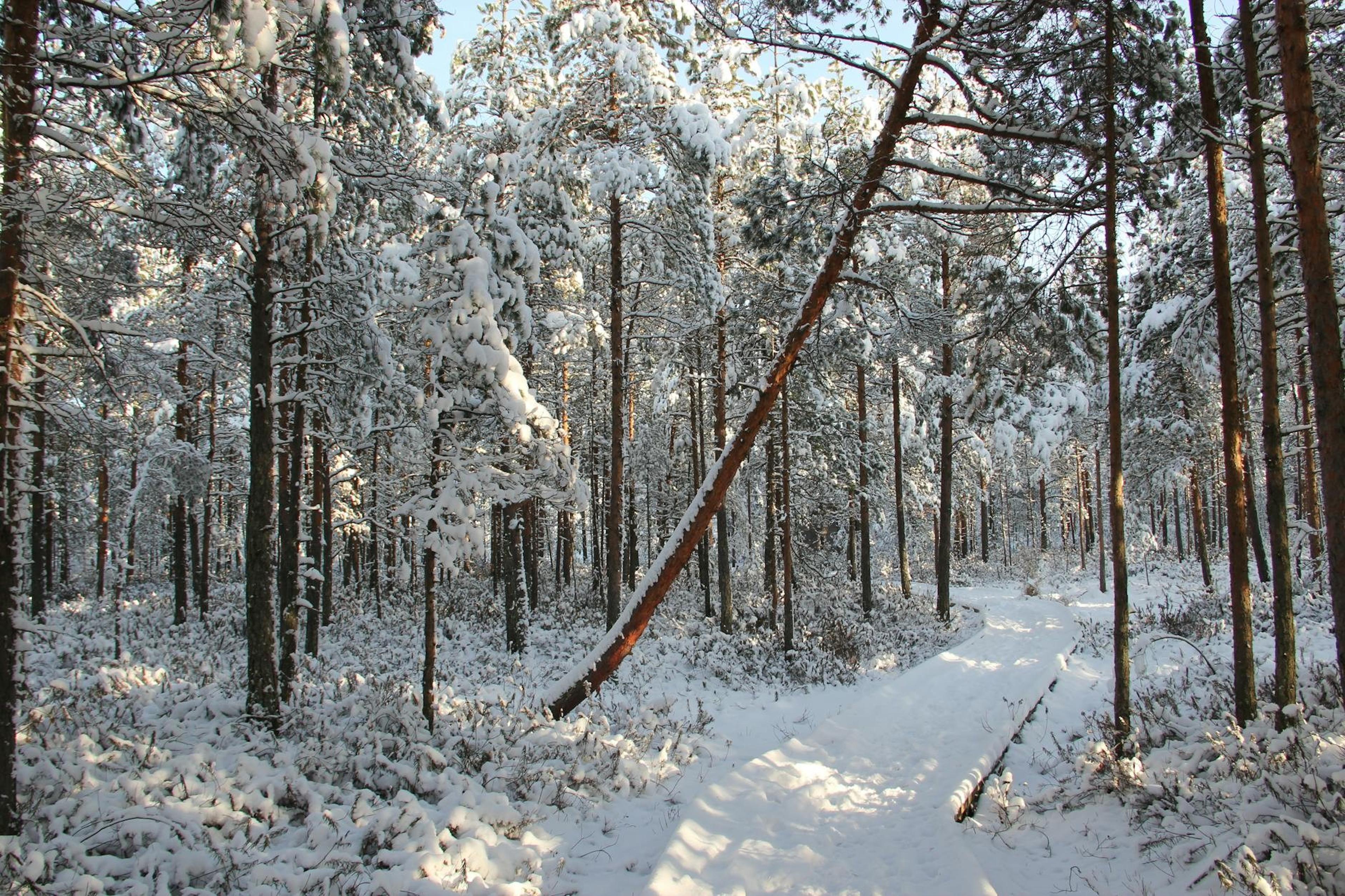 Finland
