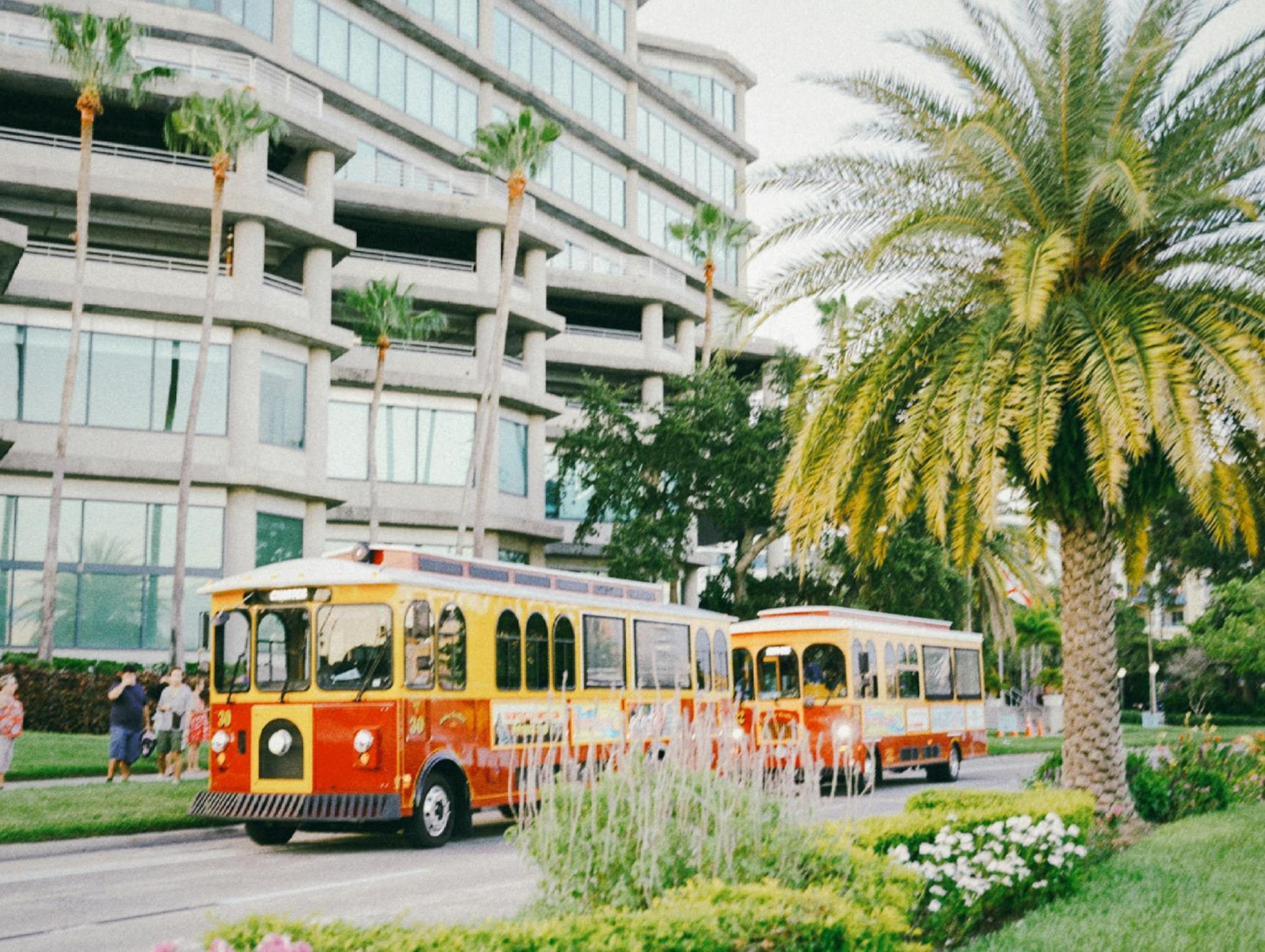 Tampa