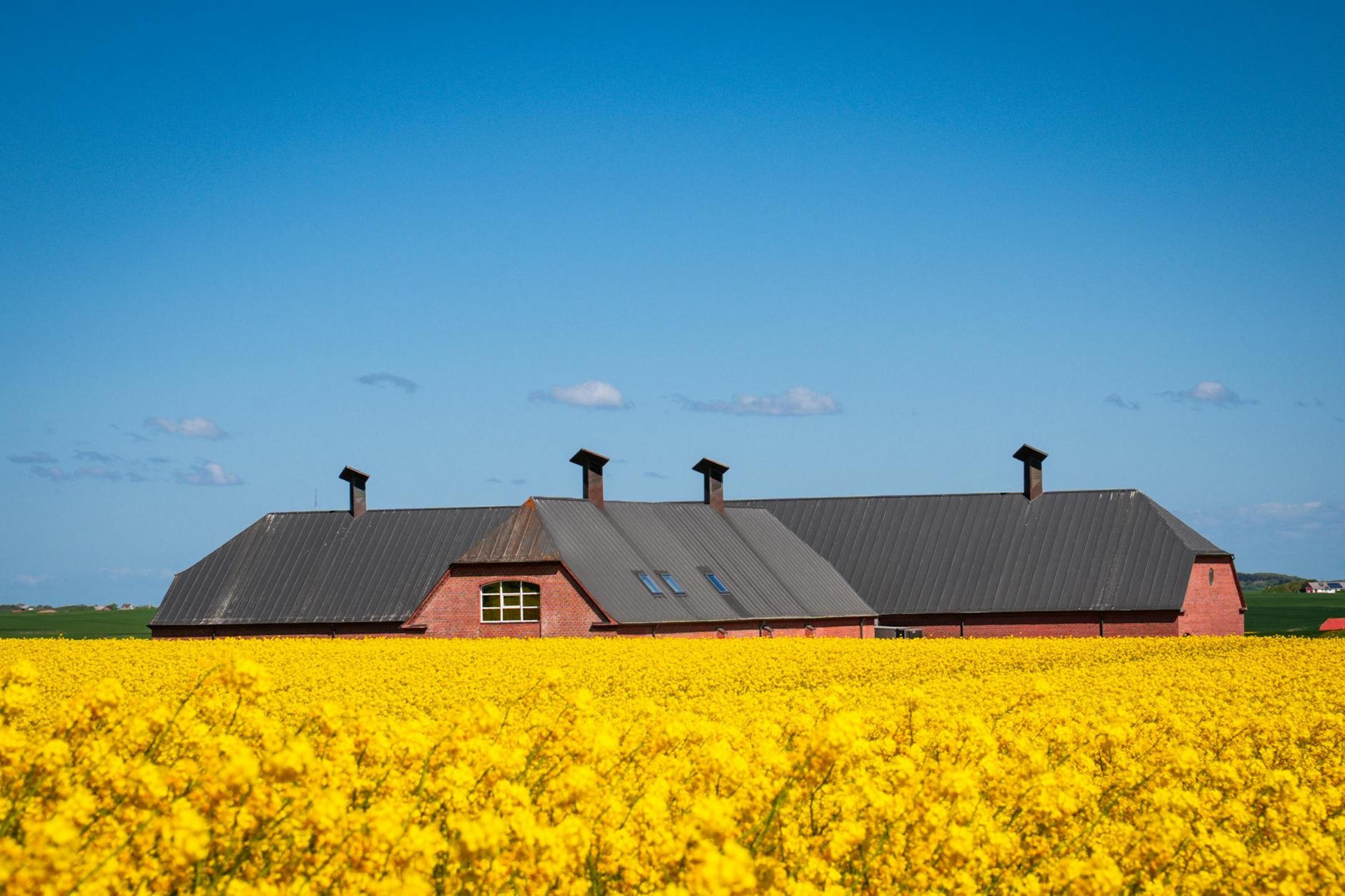 Denmark