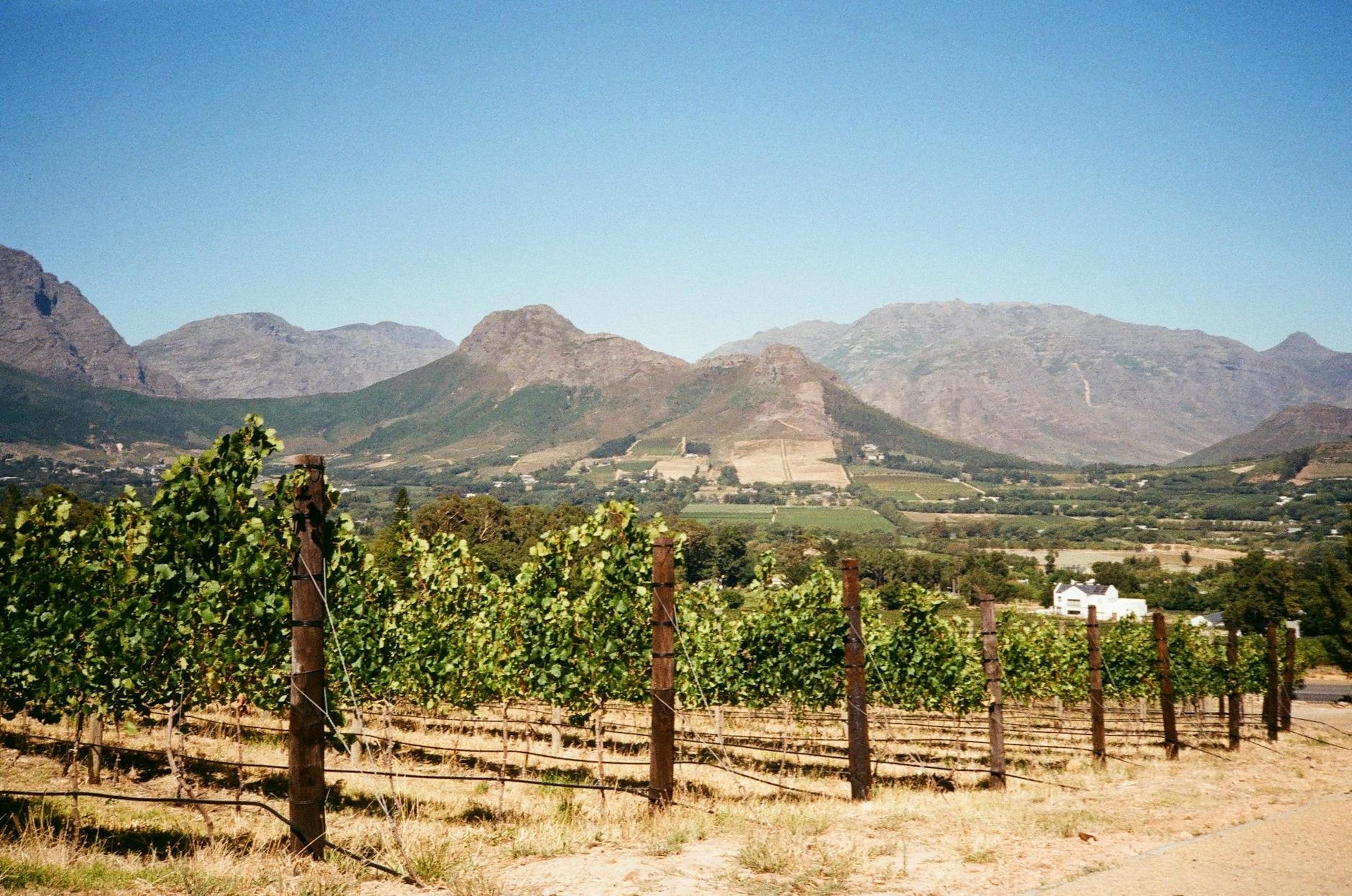 South Africa