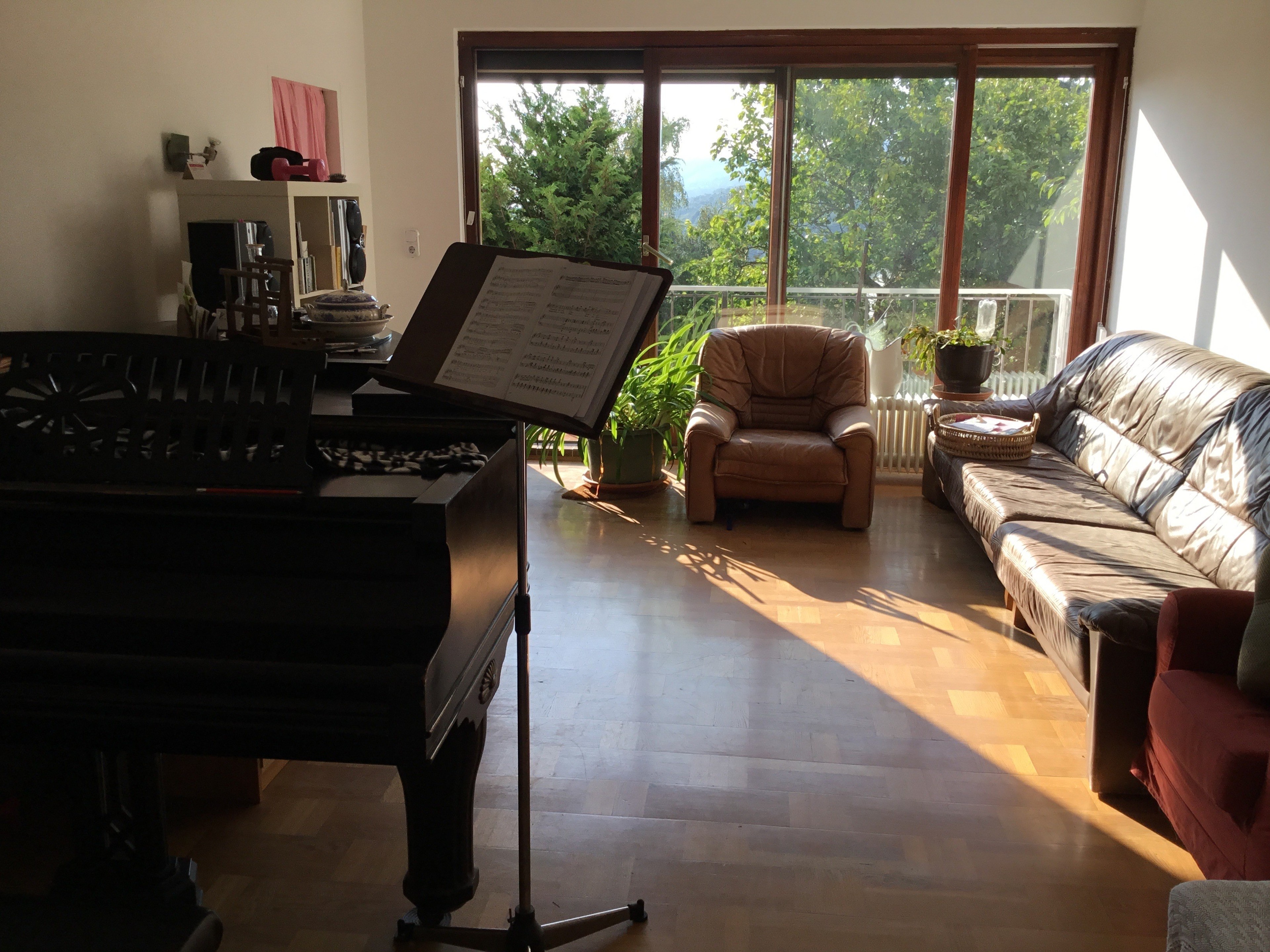 Grand Petroff with beautiful view on Vienna wood — photo 3