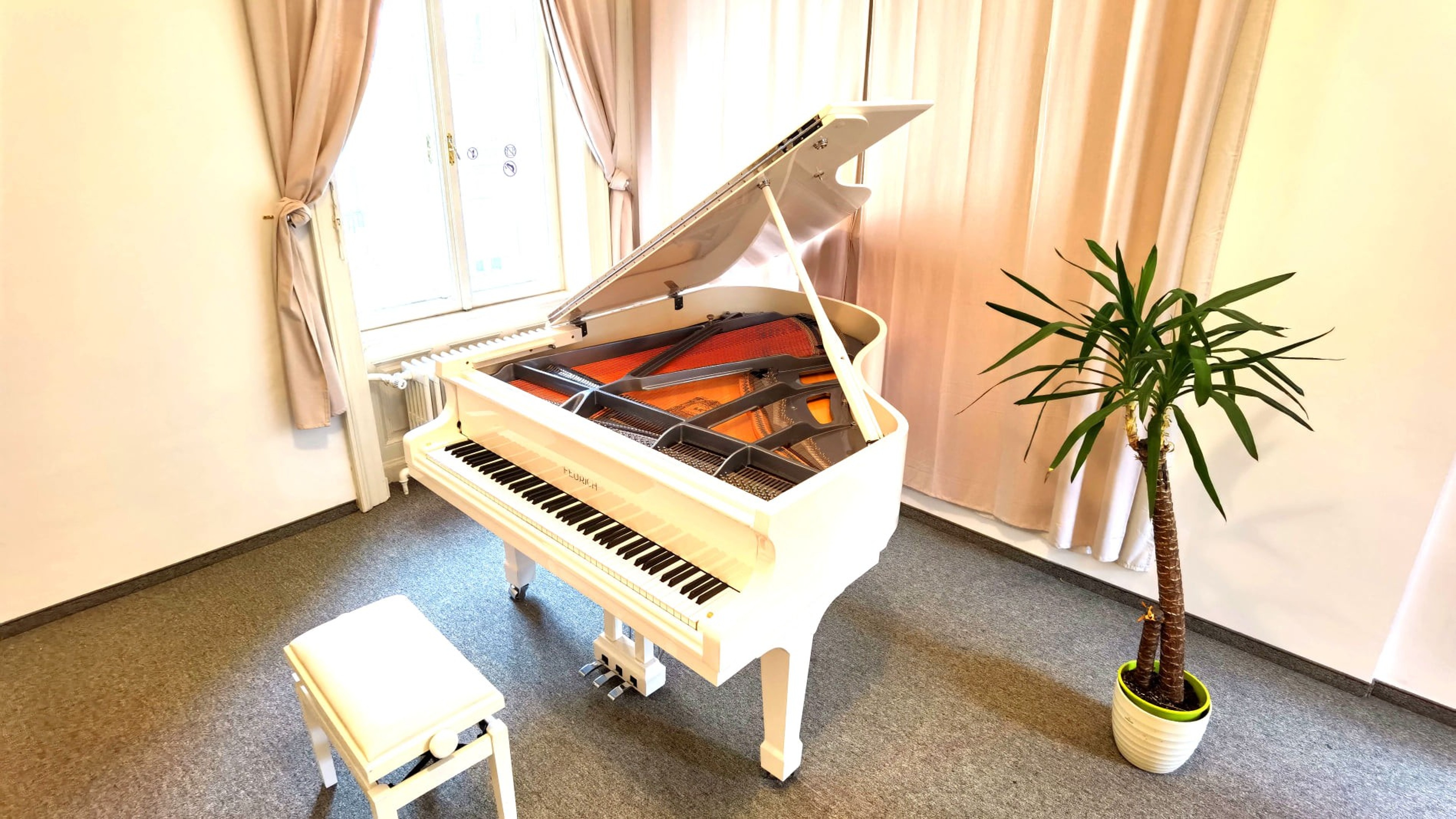 Schubert's Kitchen