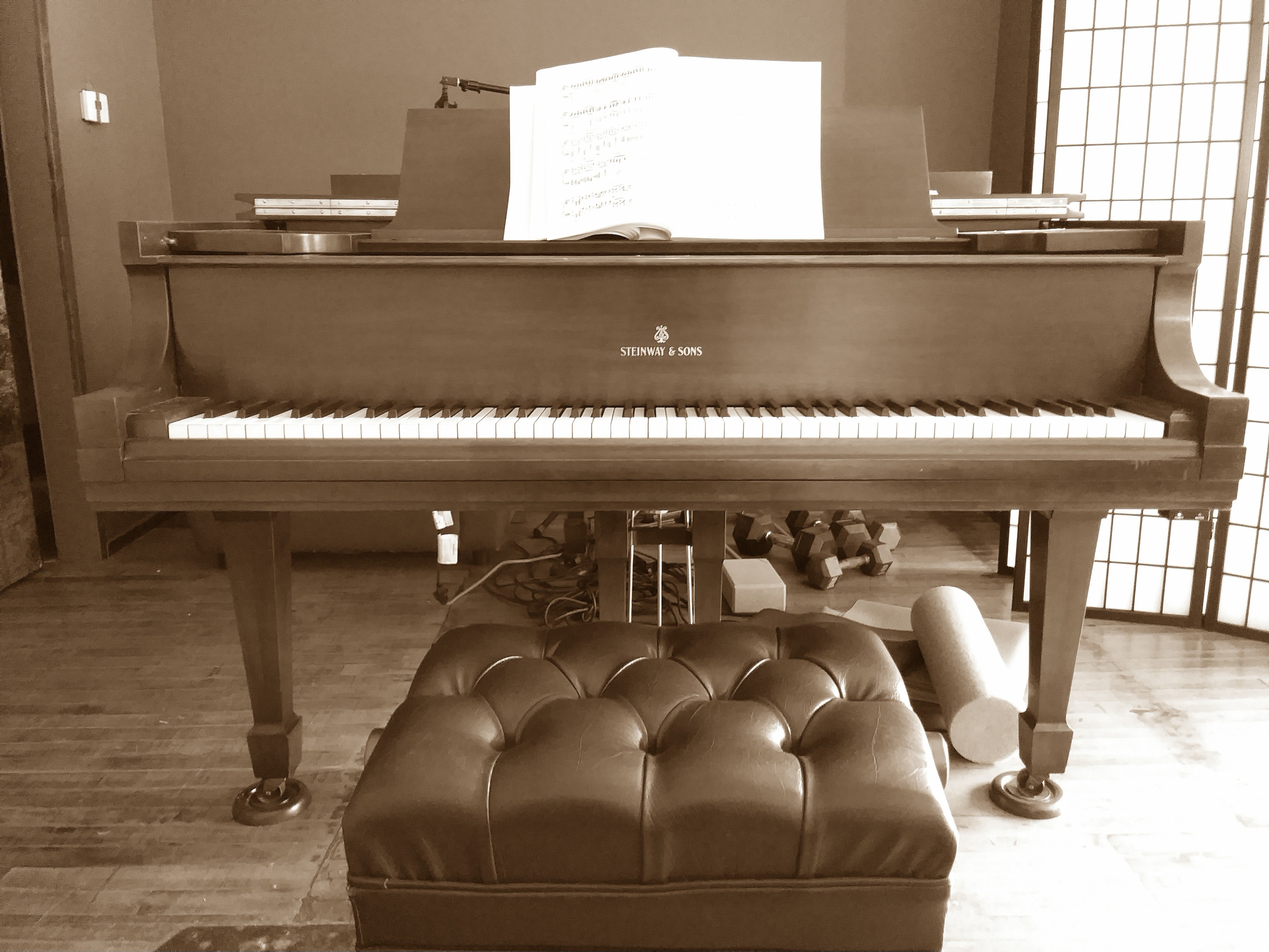 Audiophile Concert Hall and Recording Studio — photo 2