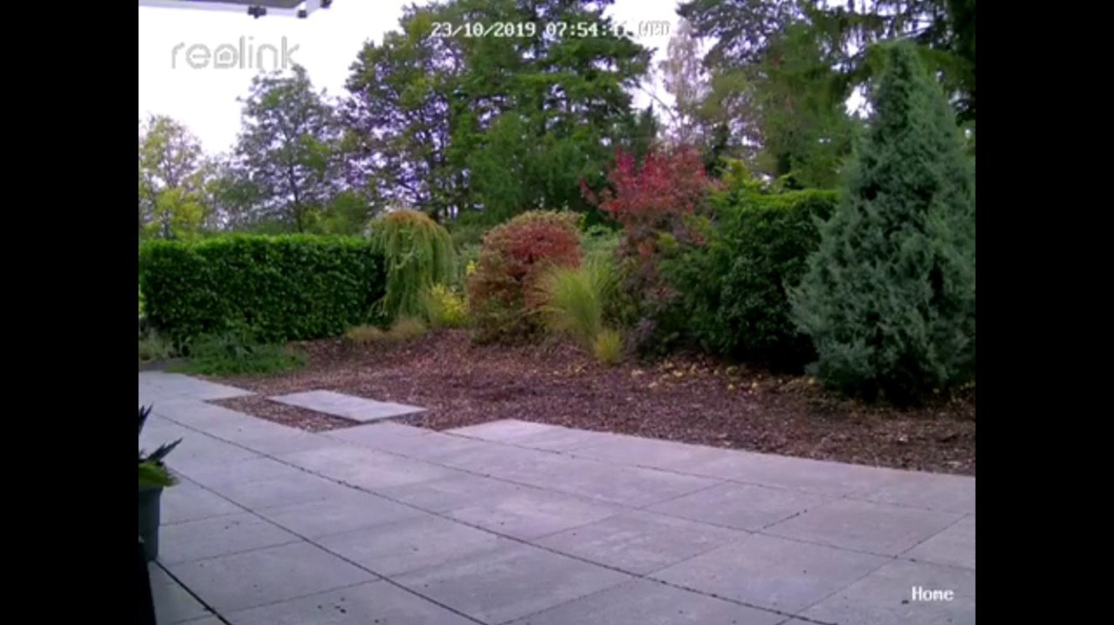 Bring your instruments and make music by the garden! — foto 3