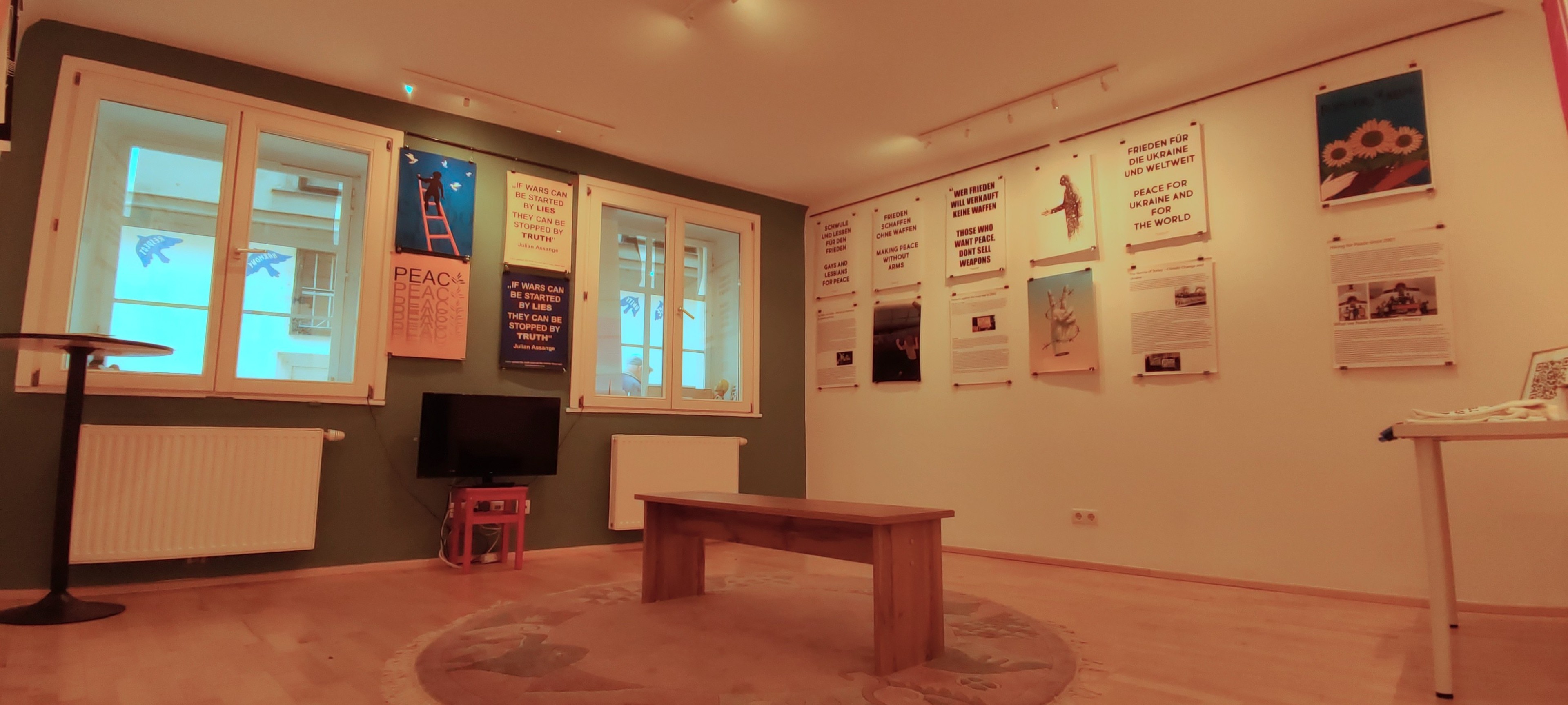 Peace Museum Vienna — 写真2