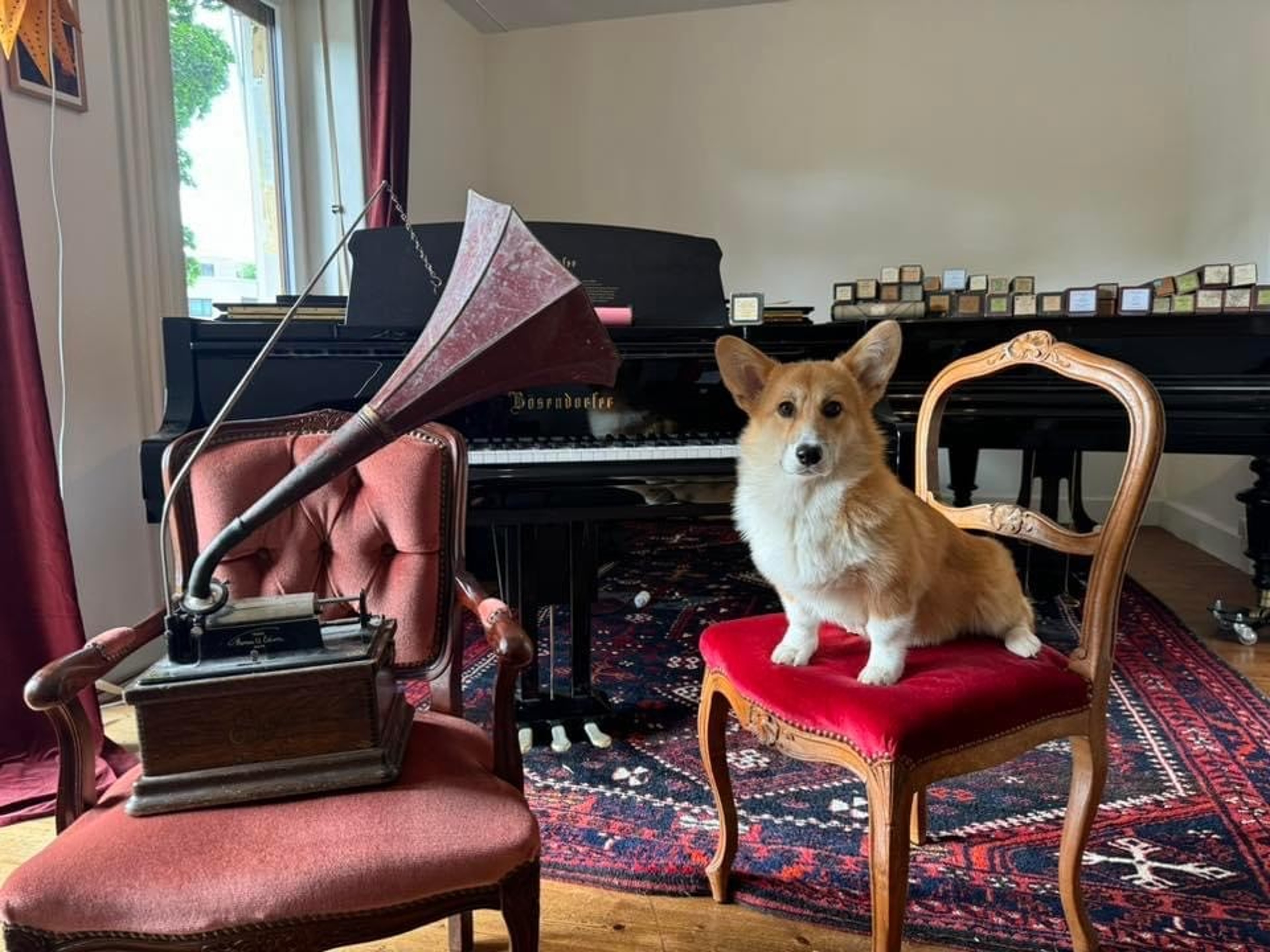 Beautiful studio
