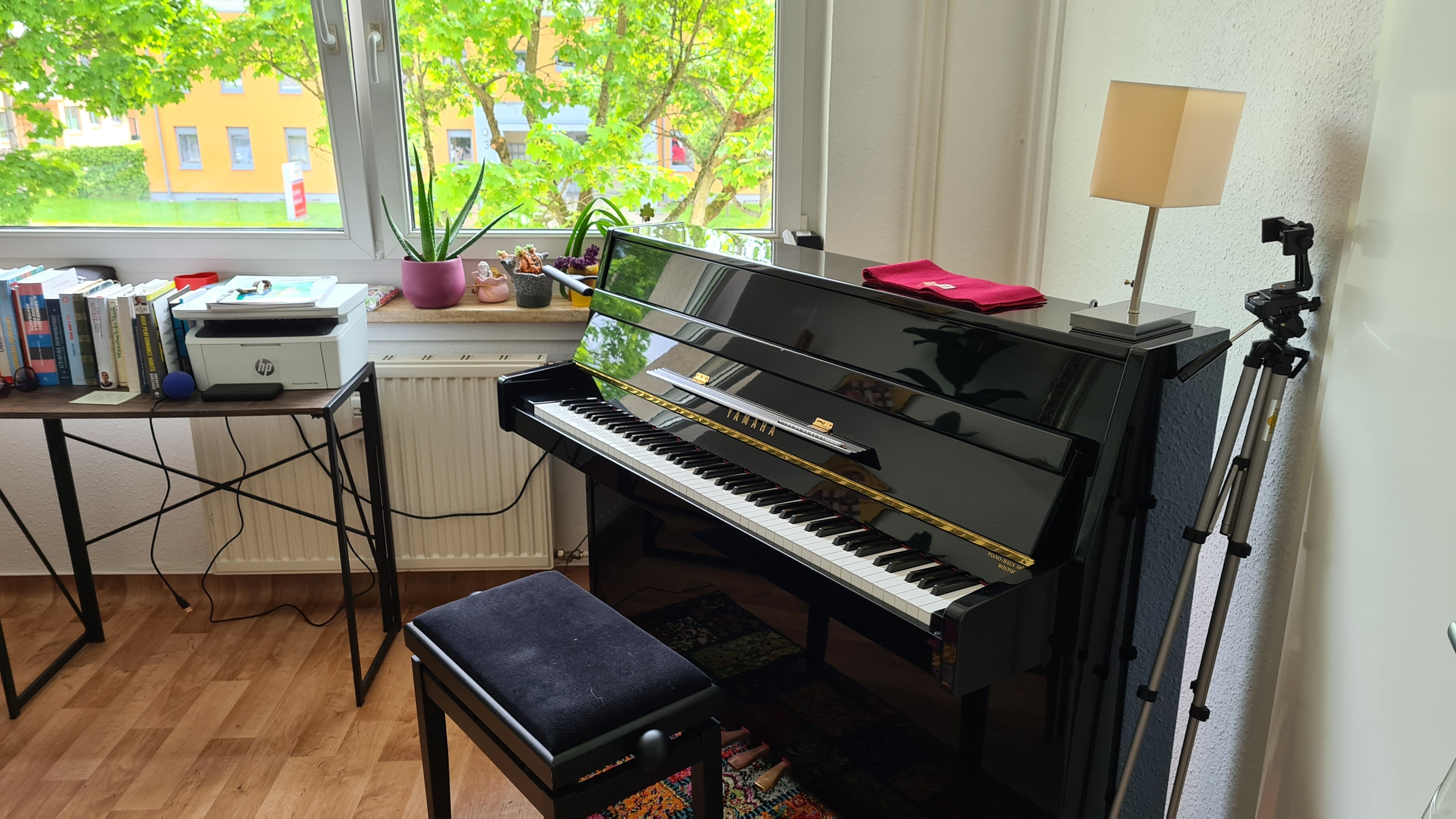 Golden Strings Studio