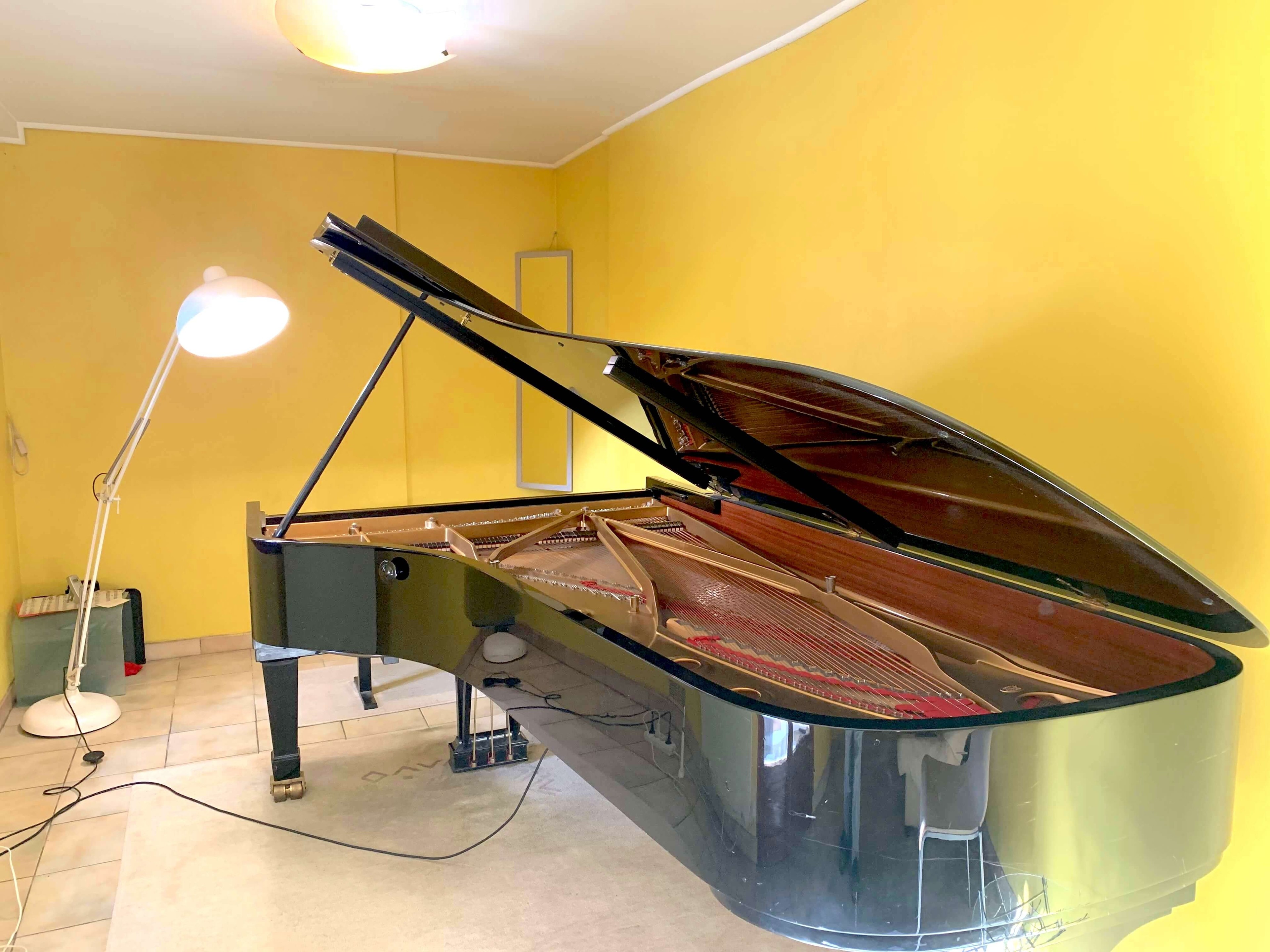 Concert Grand Steinway in a quiet house