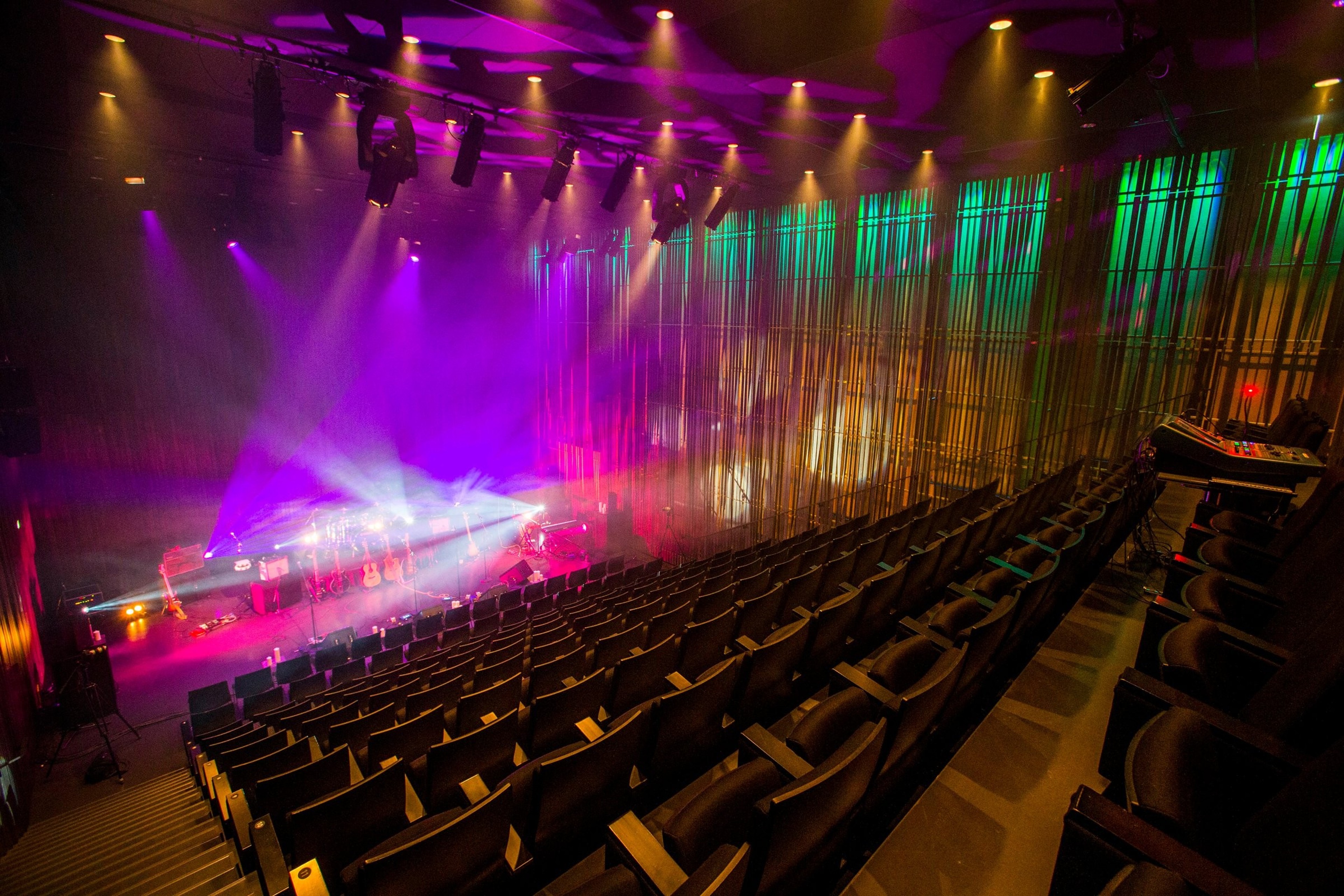 Kaldalón - Intimate Performances Auditorium — 写真2