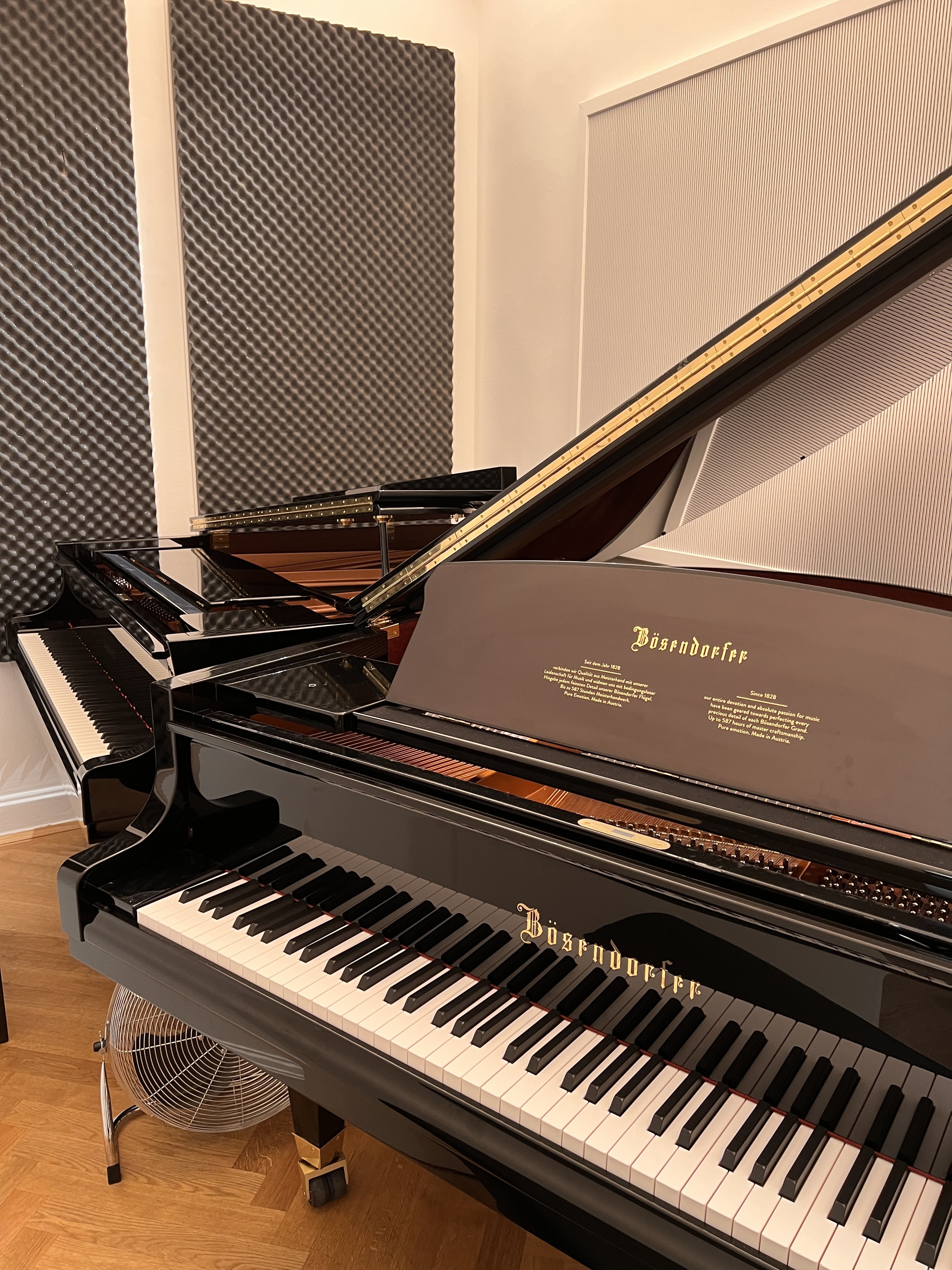 Übungsstudio mit Bösendorfer Flügel — photo 3