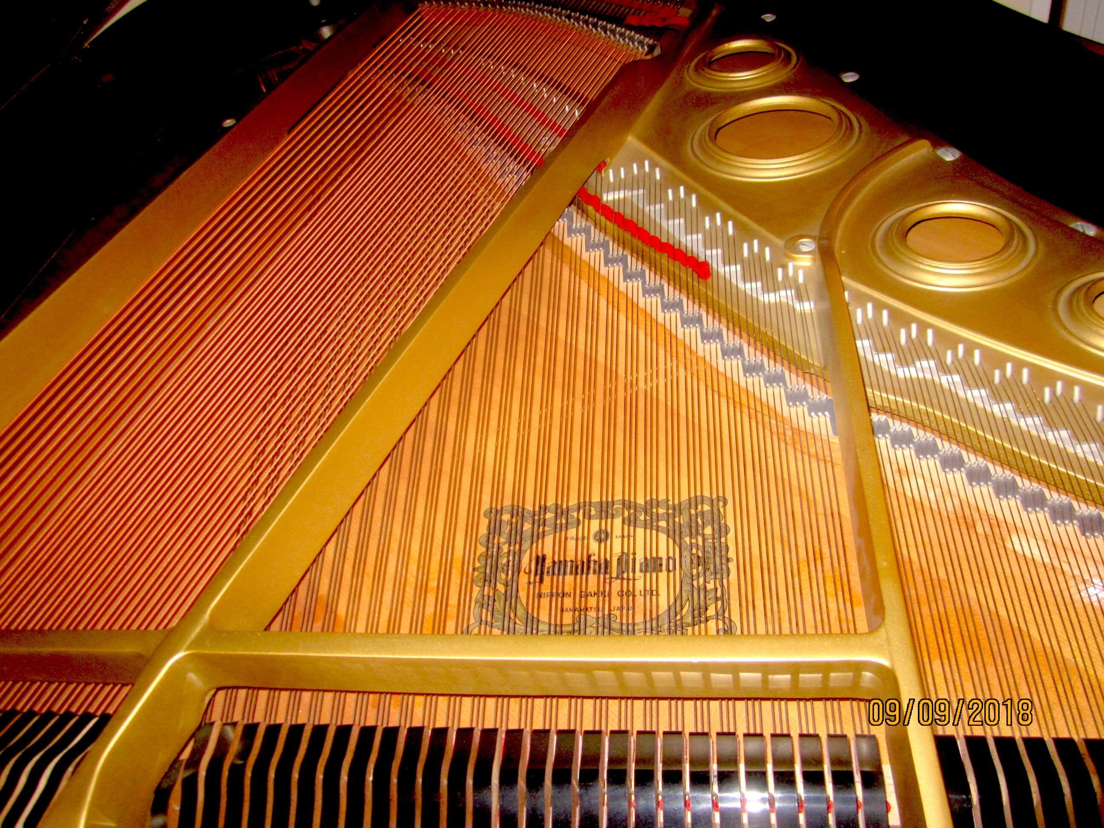 Beautiful Yamaha grand piano in bright room — photo 3