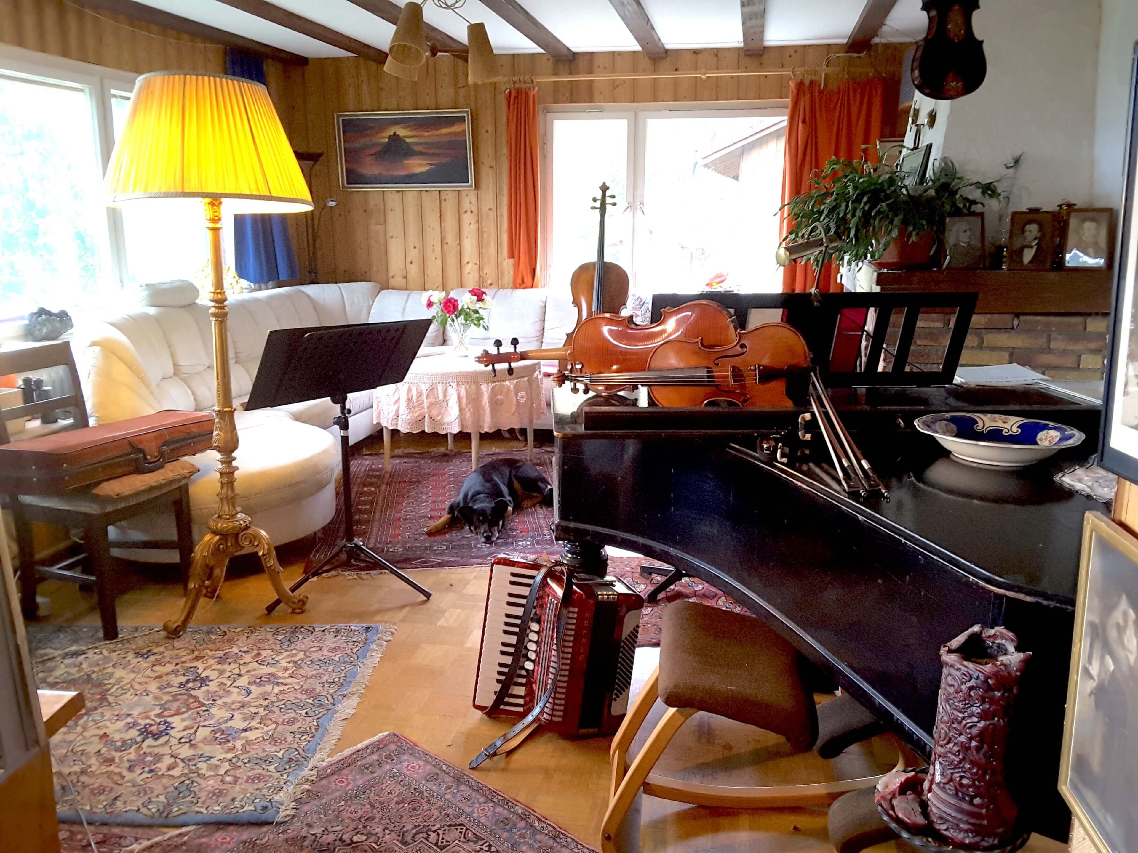 Grand Piano in black forest house — 写真2
