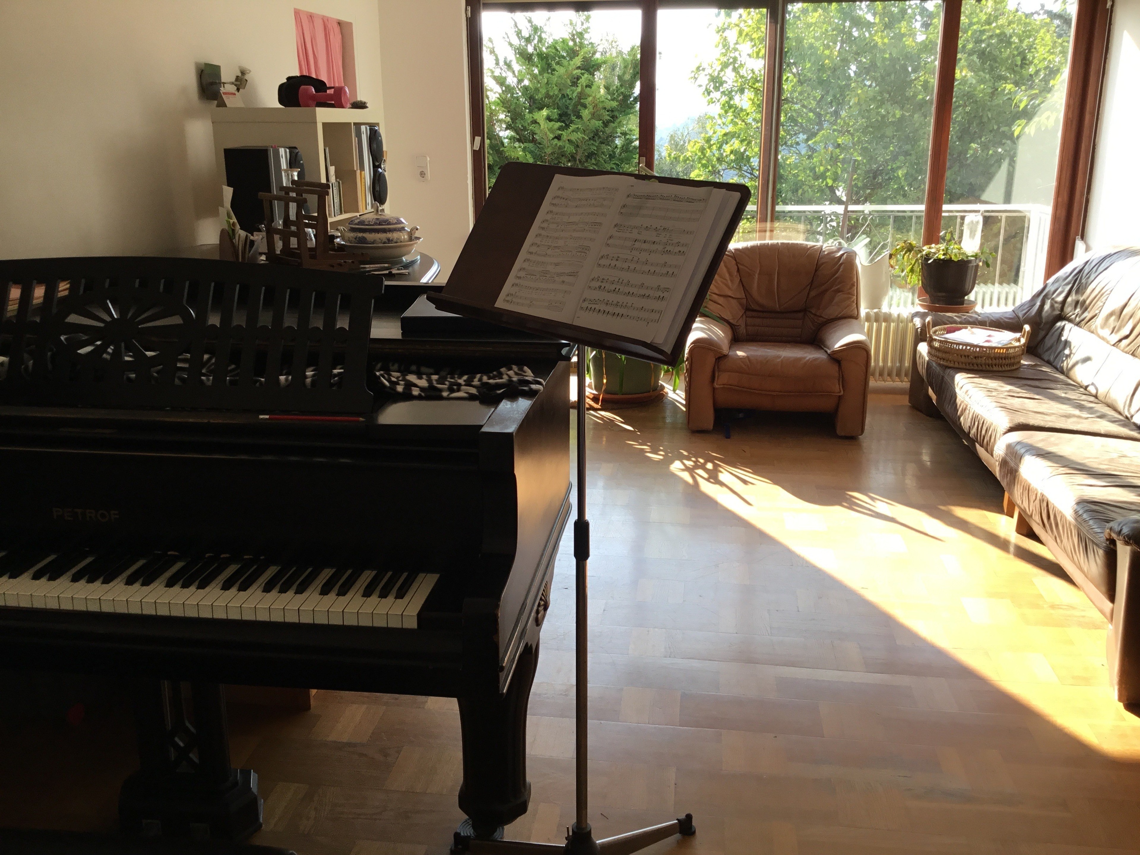 Grand Petroff with beautiful view on Vienna wood — photo 4